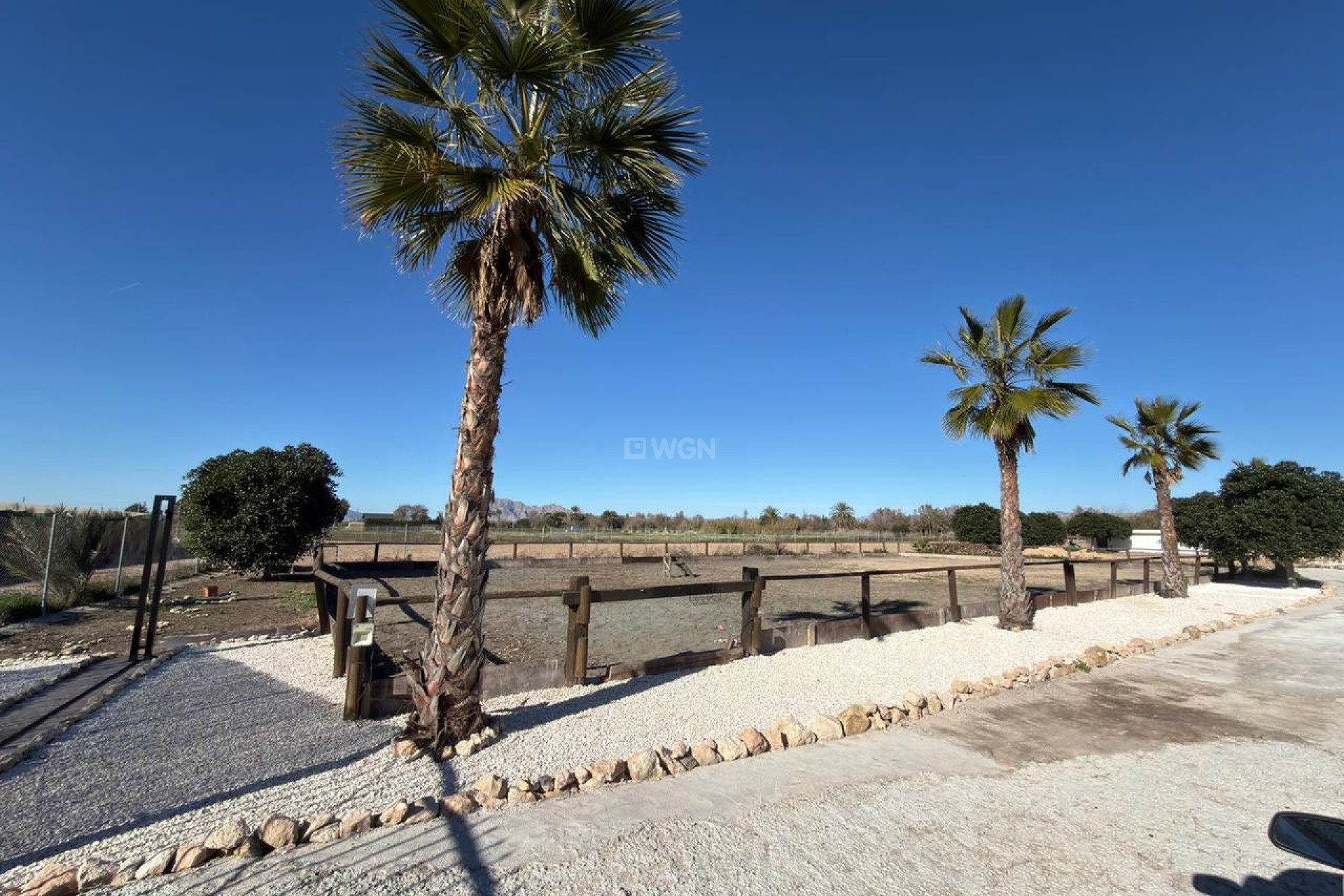 Reventa - Parcela / Terreno - Algorfa - Inland