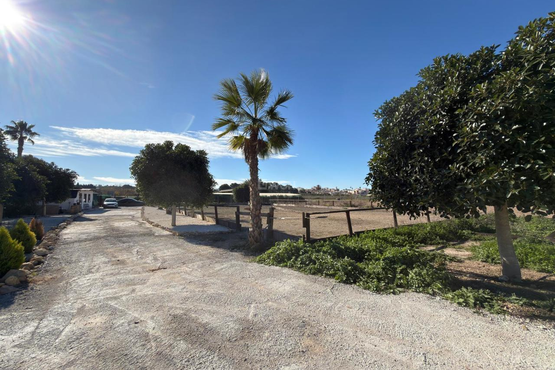 Reventa - Parcela / Terreno - Algorfa - Inland