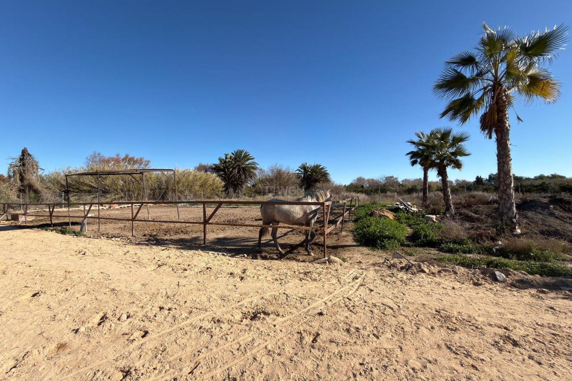 Reventa - Parcela / Terreno - Algorfa - Inland