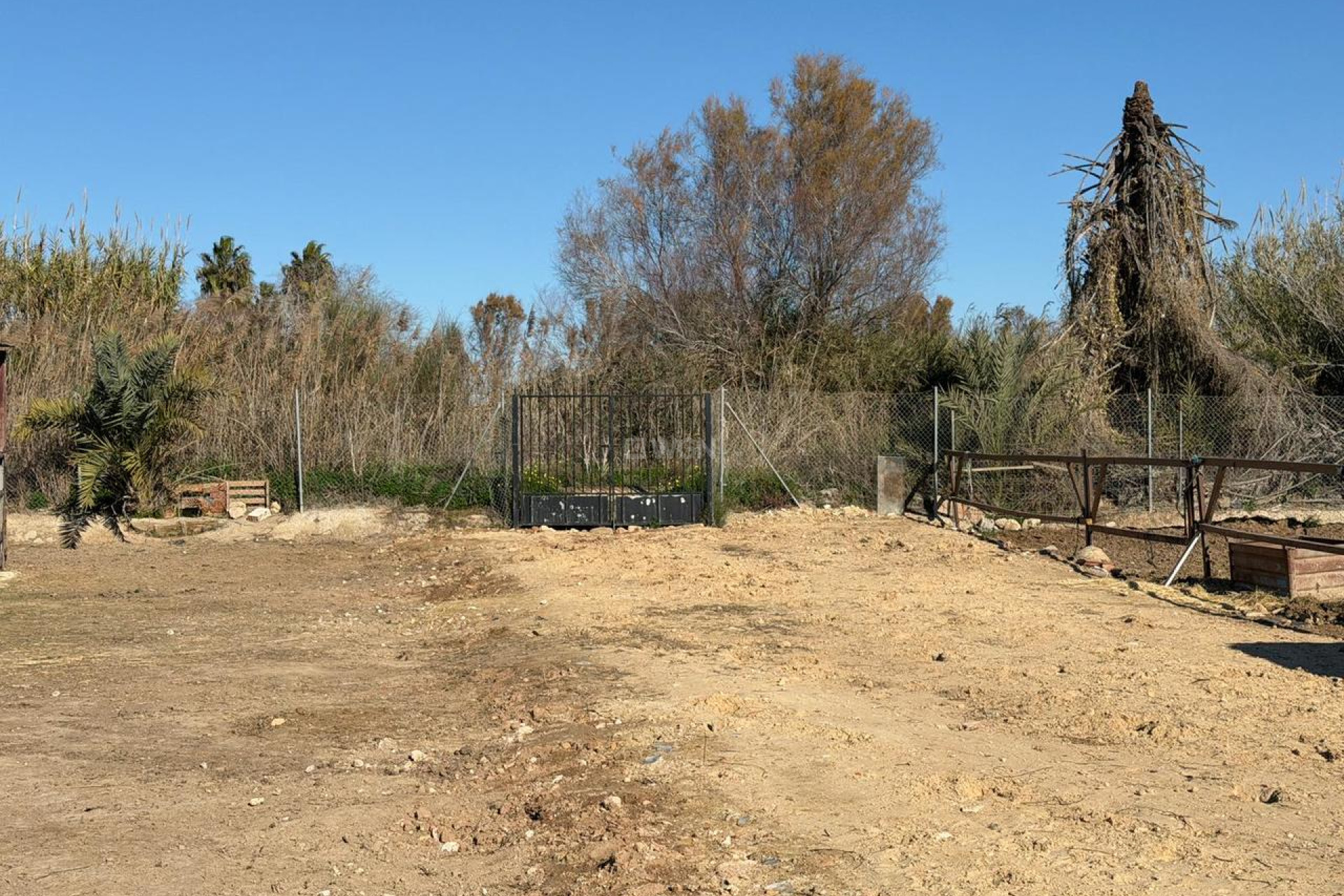 Reventa - Parcela / Terreno - Algorfa - Inland