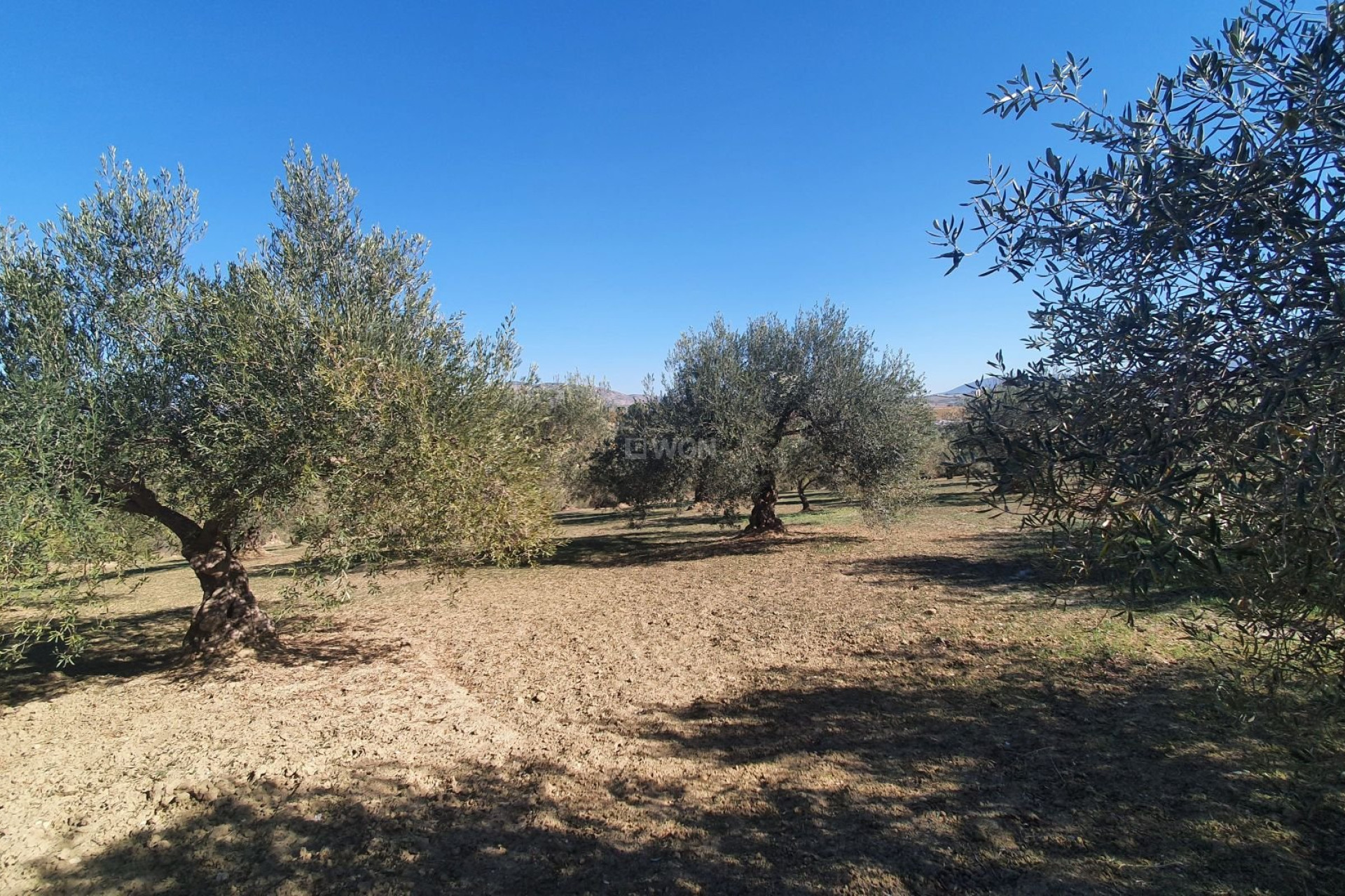 Reventa - Parcela / Terreno - Alhaurin el Grande - Inland