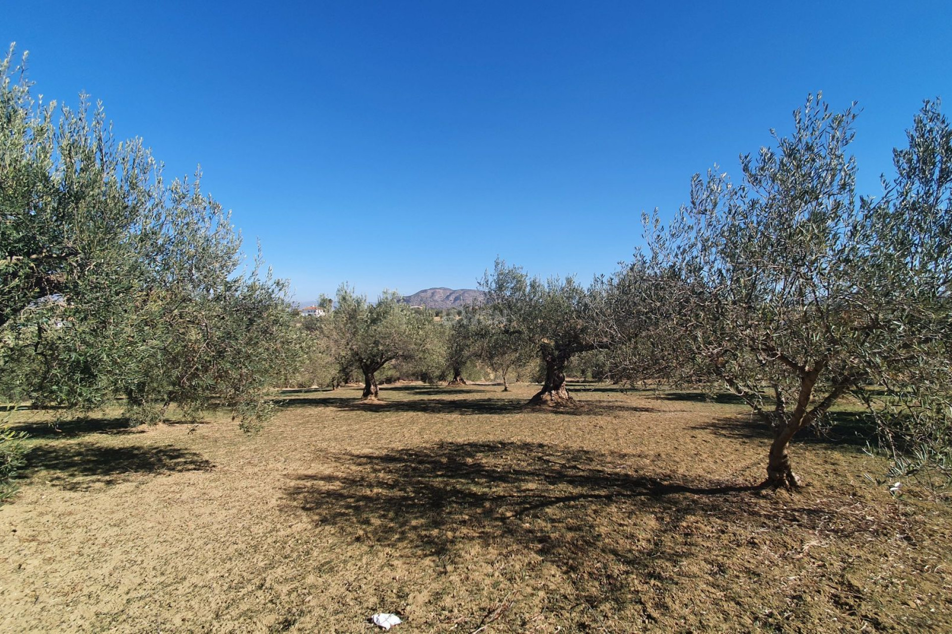 Reventa - Parcela / Terreno - Alhaurin el Grande - Inland