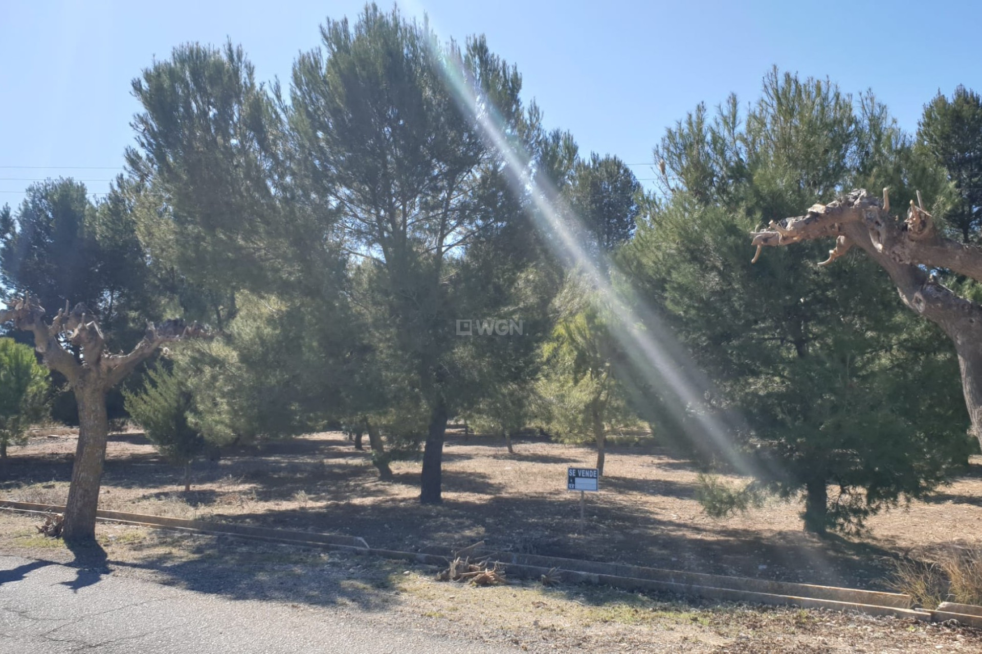 Reventa - Parcela / Terreno - Beneixama - Inland