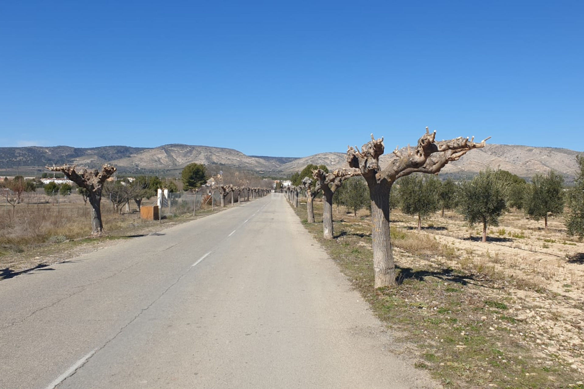 Reventa - Parcela / Terreno - Beneixama - Inland