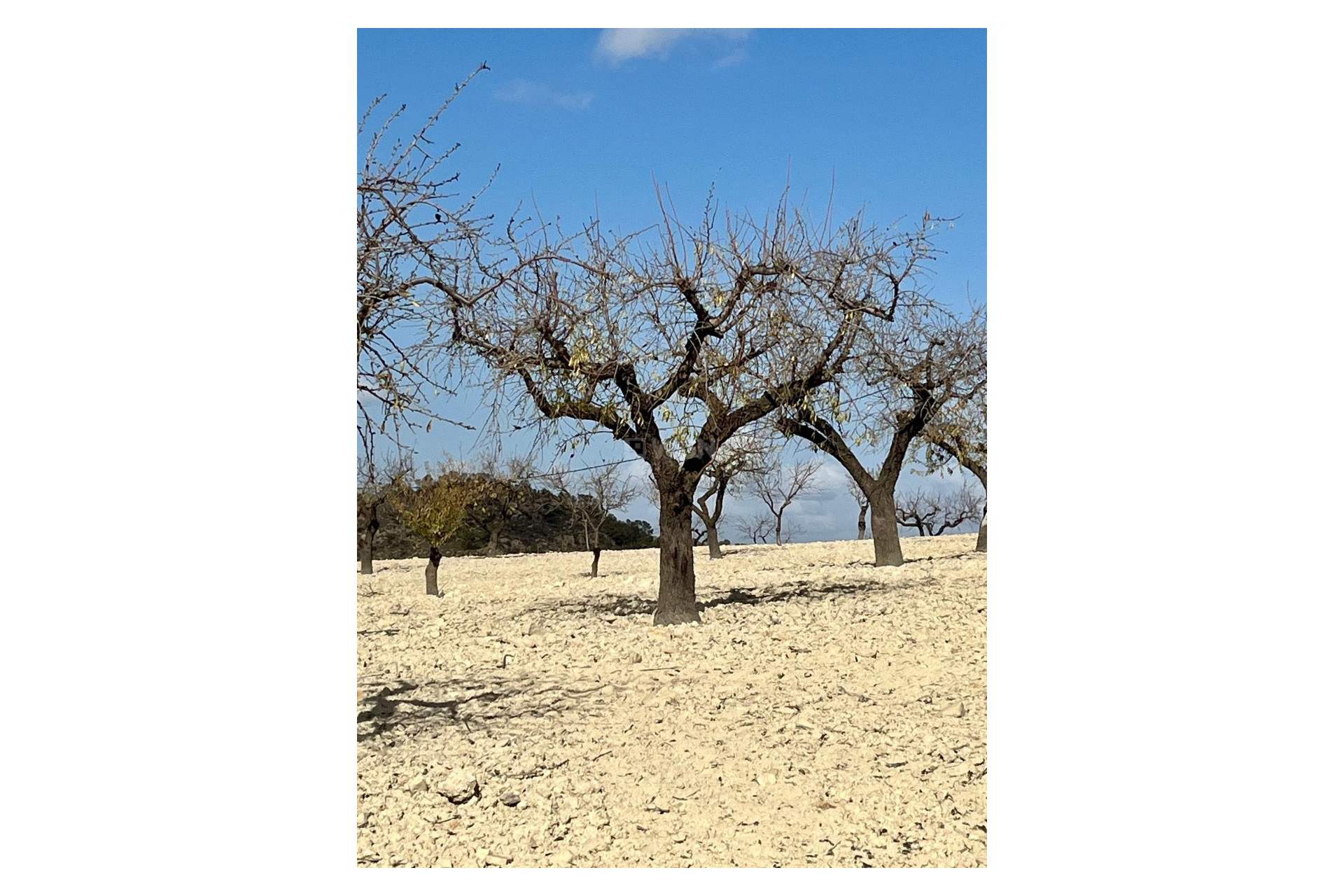 Reventa - Parcela / Terreno - Bullas - Inland