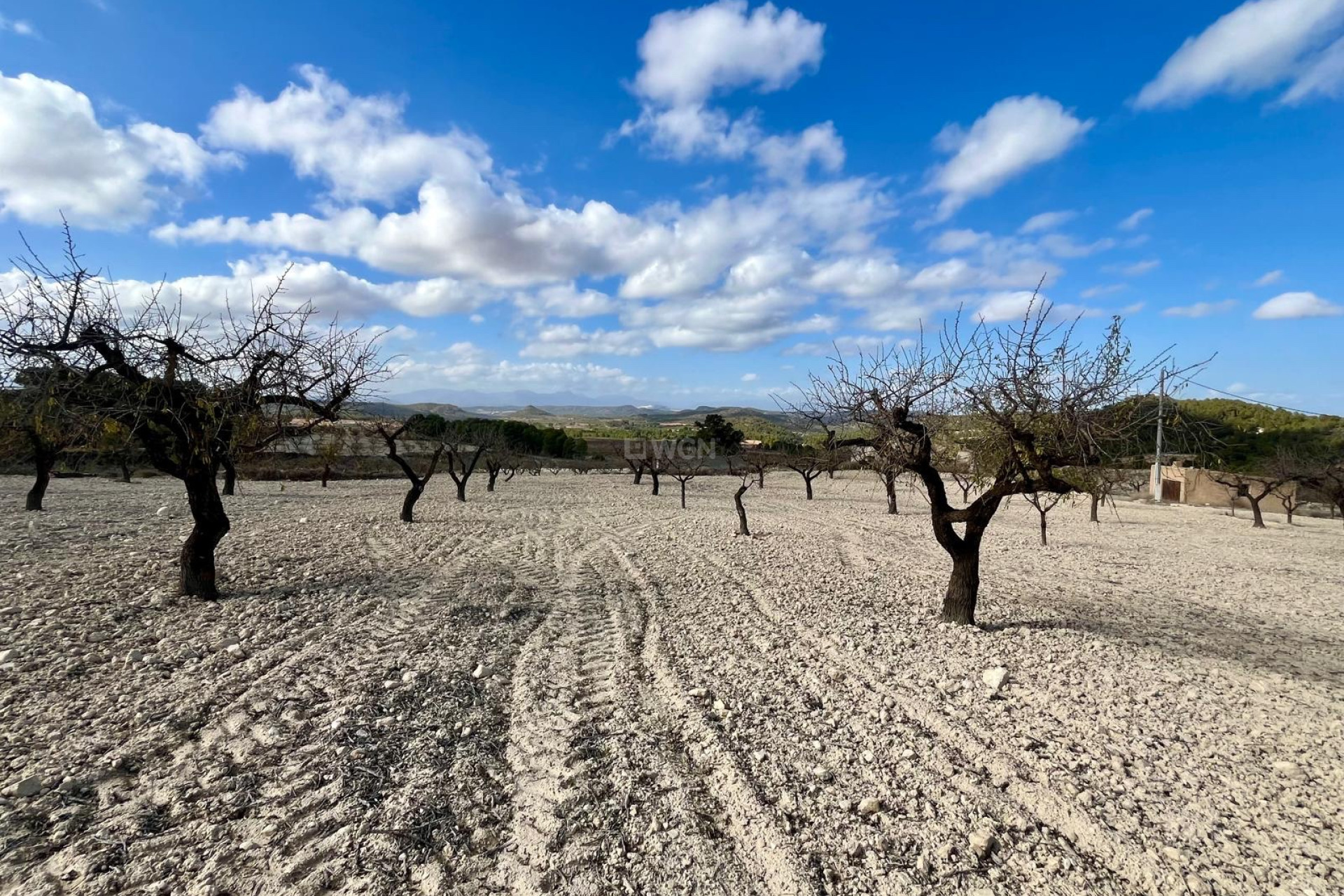 Reventa - Parcela / Terreno - Bullas - Inland