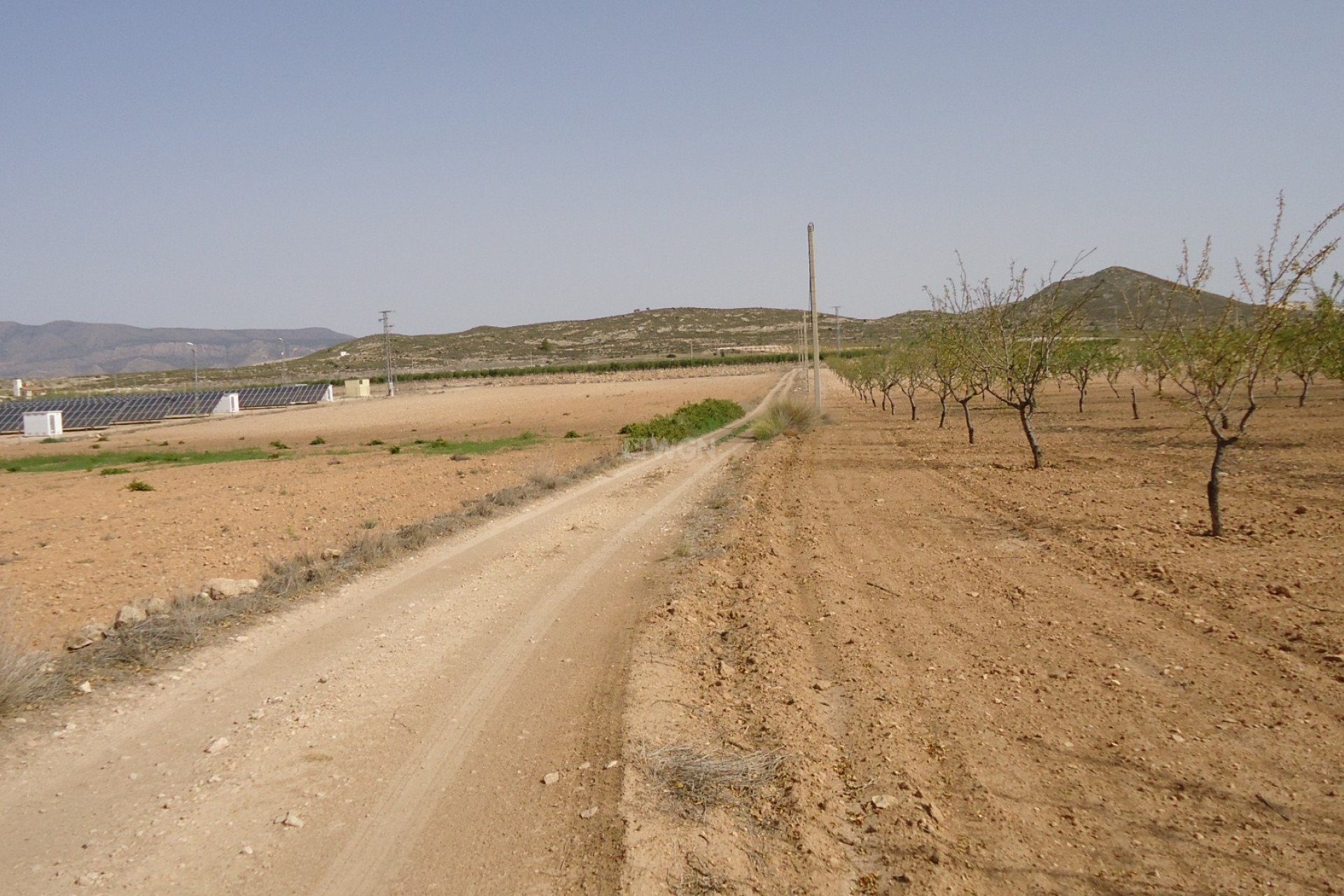 Reventa - Parcela / Terreno - Canada del Trigo - Inland