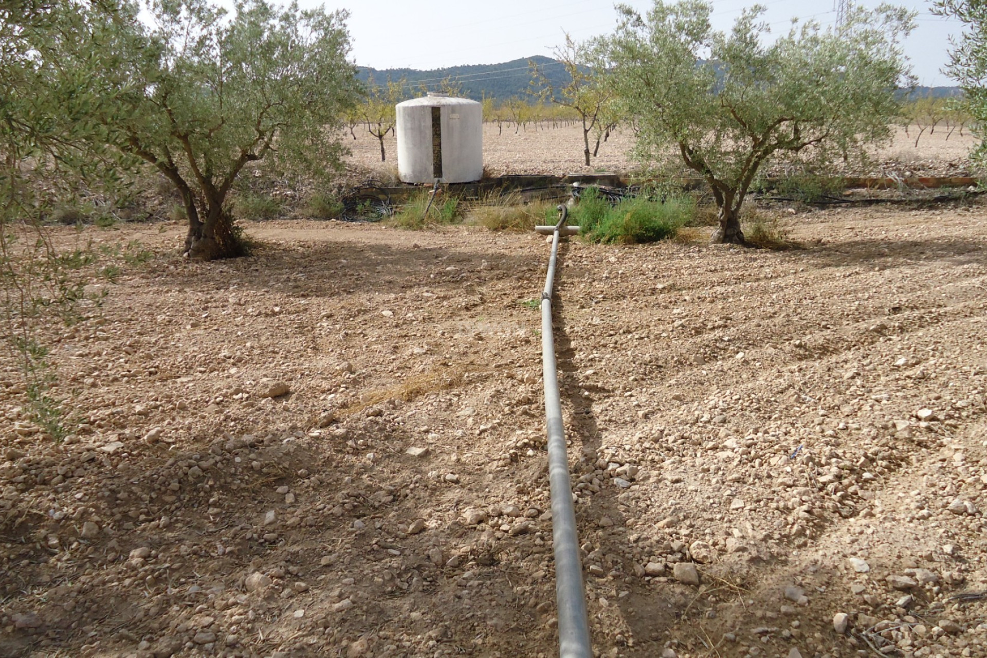 Reventa - Parcela / Terreno - Canada del Trigo - Inland