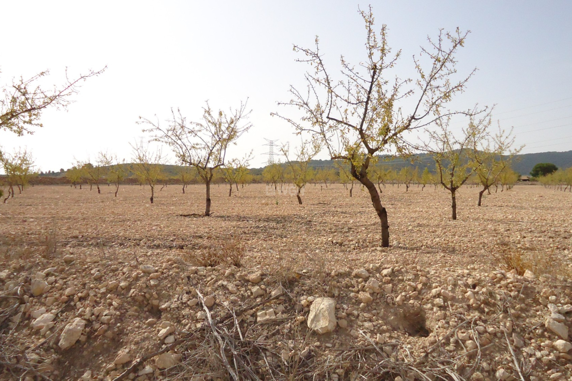 Reventa - Parcela / Terreno - Canada del Trigo - Inland