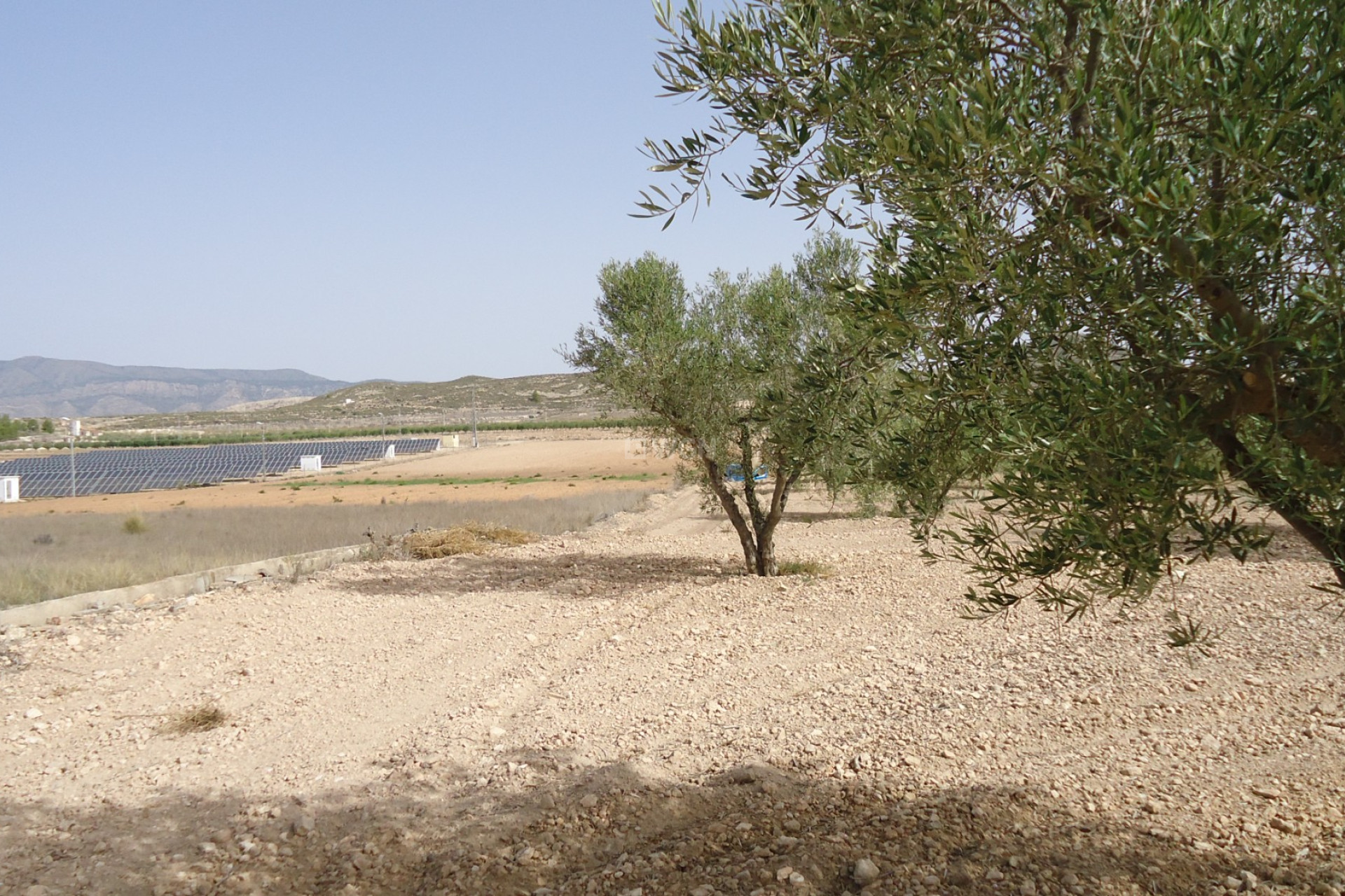 Reventa - Parcela / Terreno - Canada del Trigo - Inland