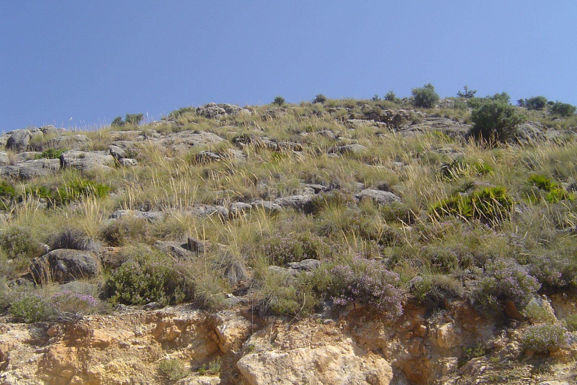 Reventa - Parcela / Terreno - Coin - Inland