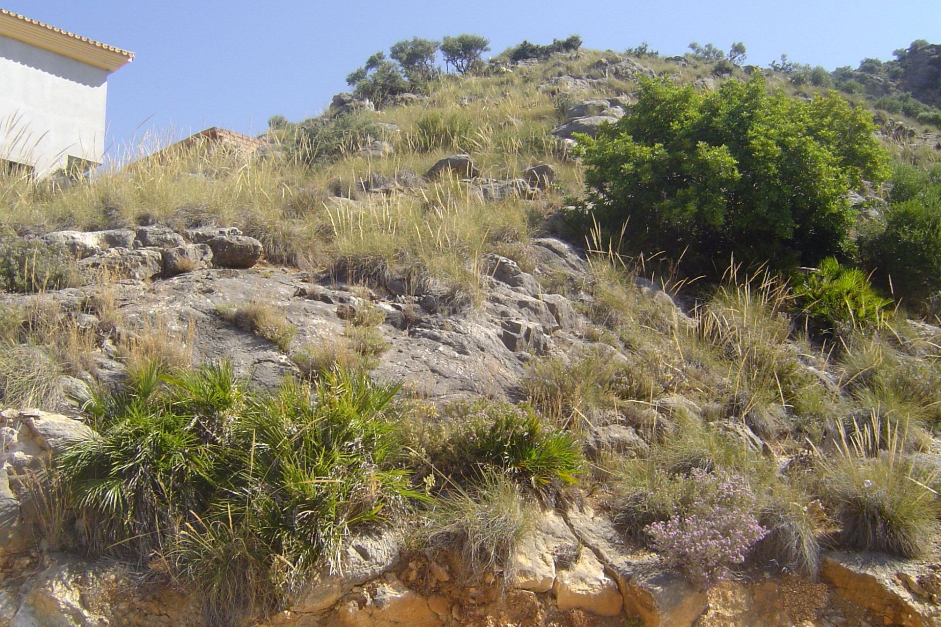 Reventa - Parcela / Terreno - Coin - Inland