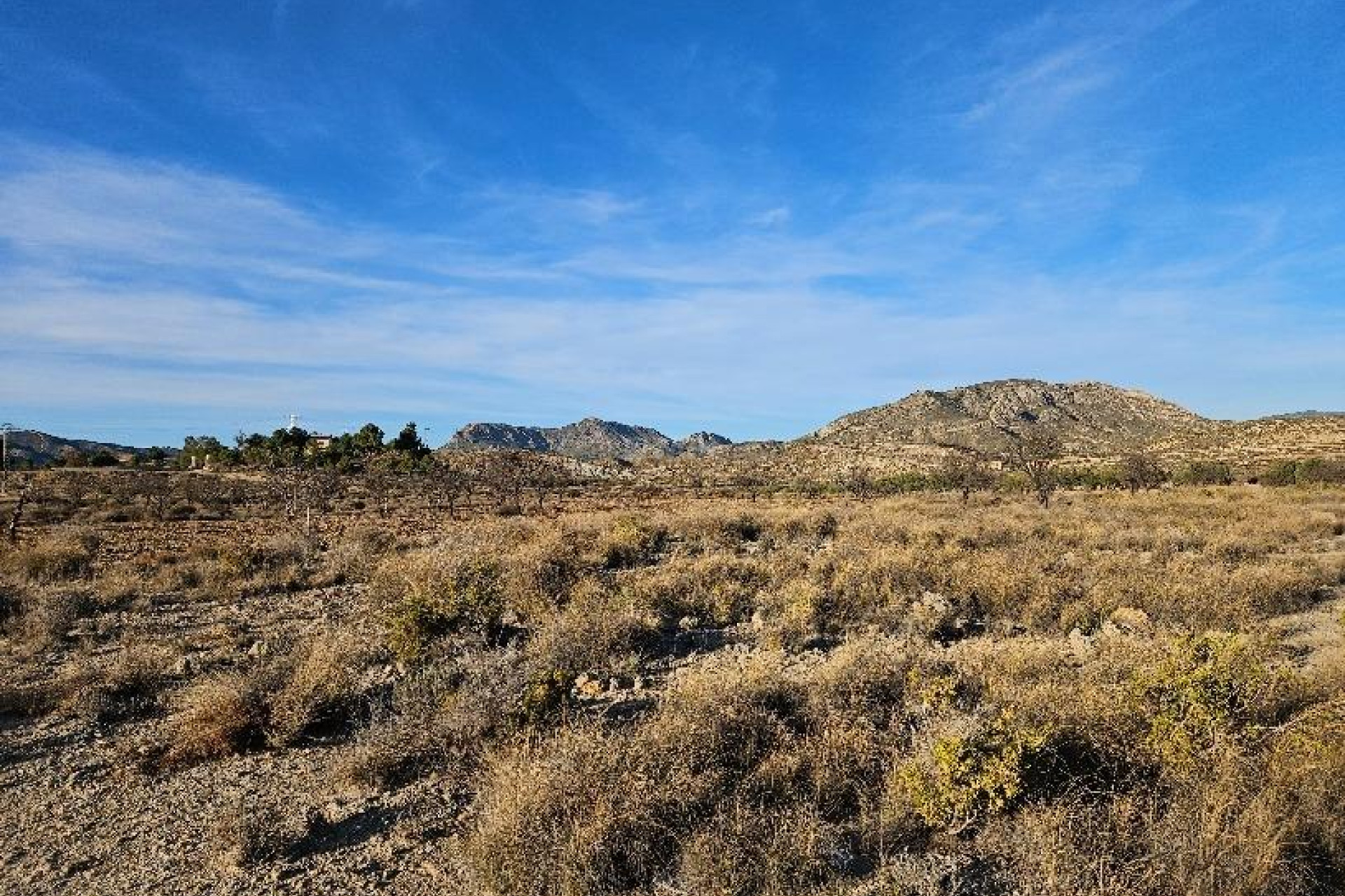 Reventa - Parcela / Terreno - Elda - 03600