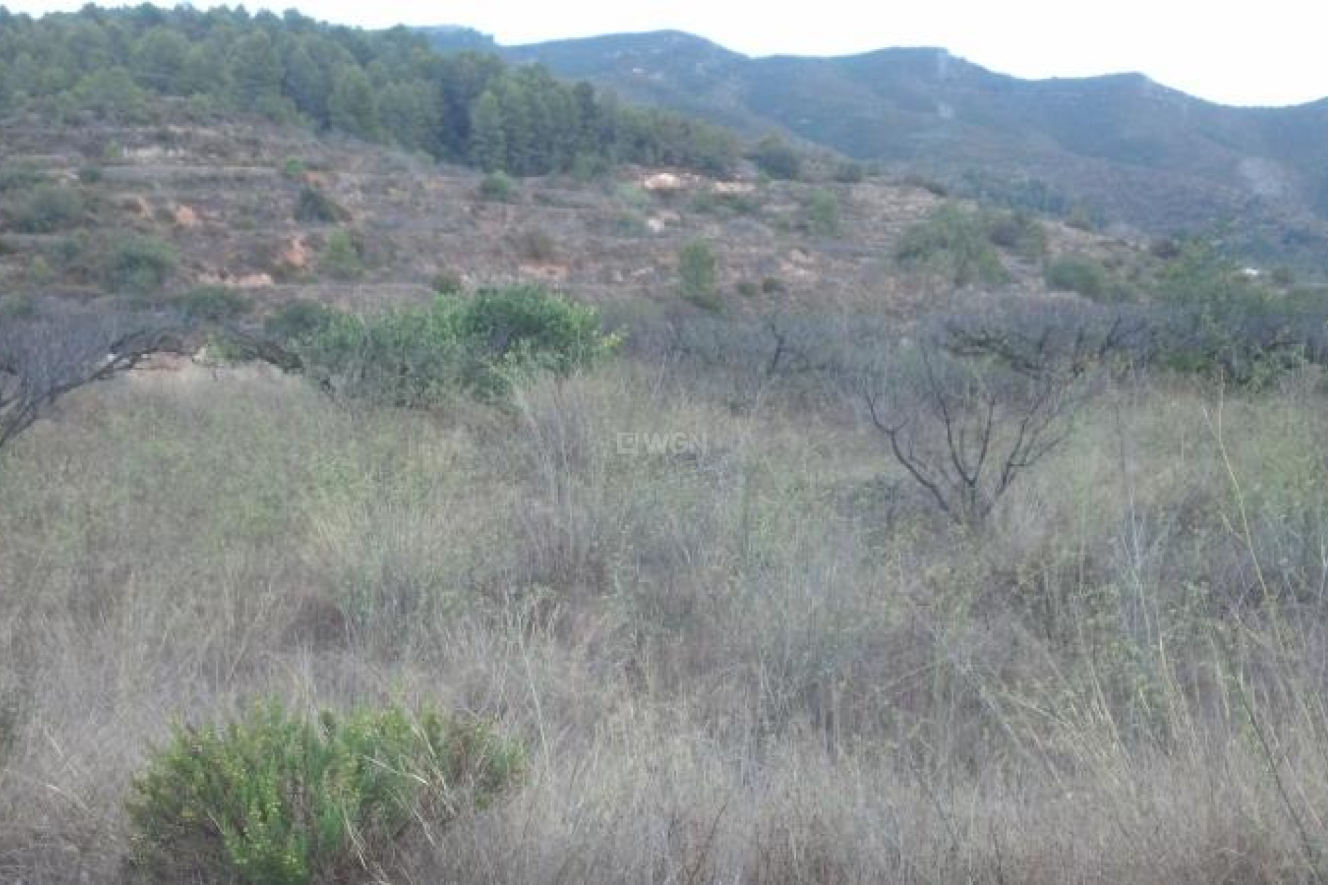 Reventa - Parcela / Terreno - Gandia - Inland