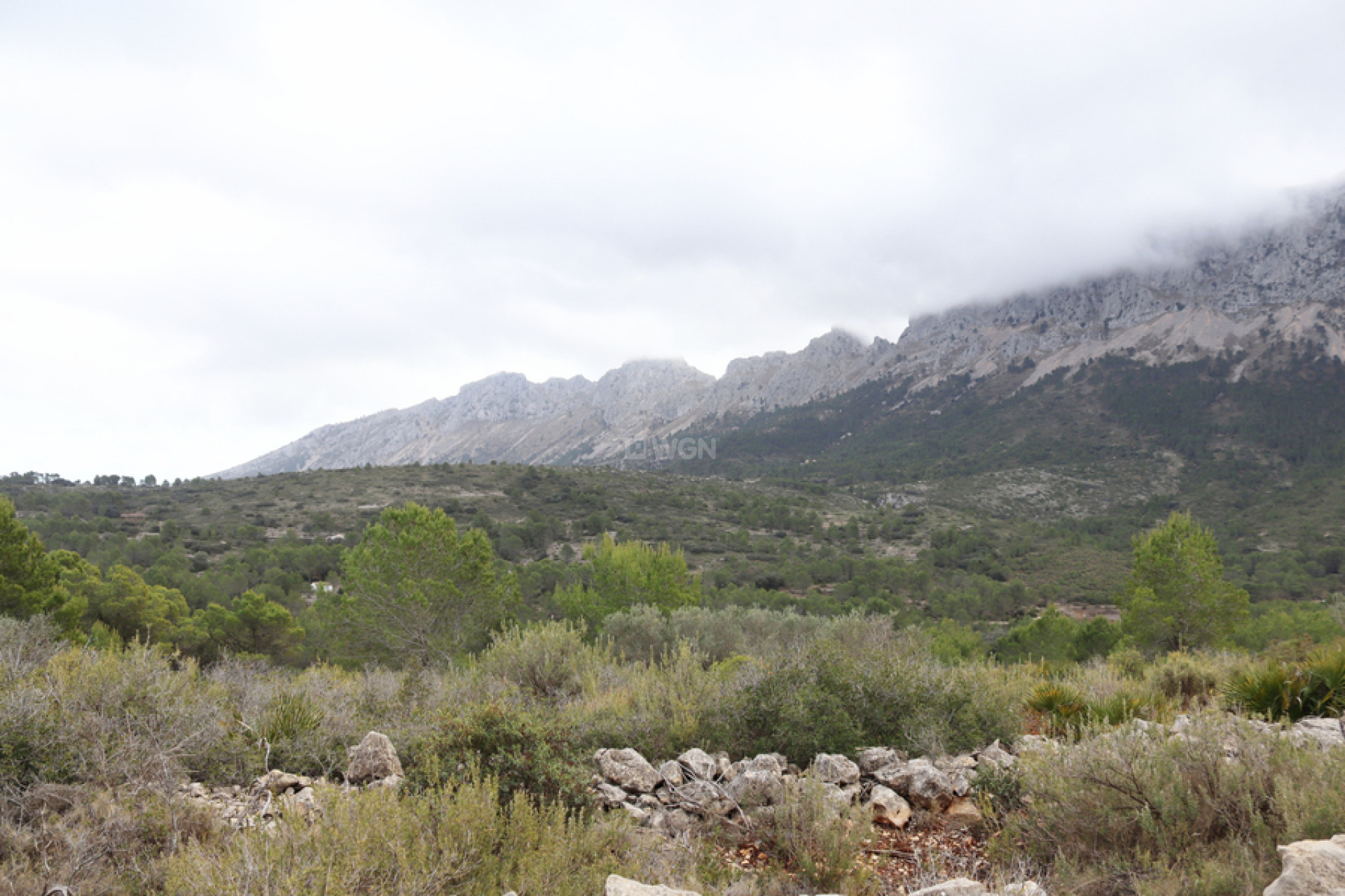 Reventa - Parcela / Terreno - Jalón - Inland