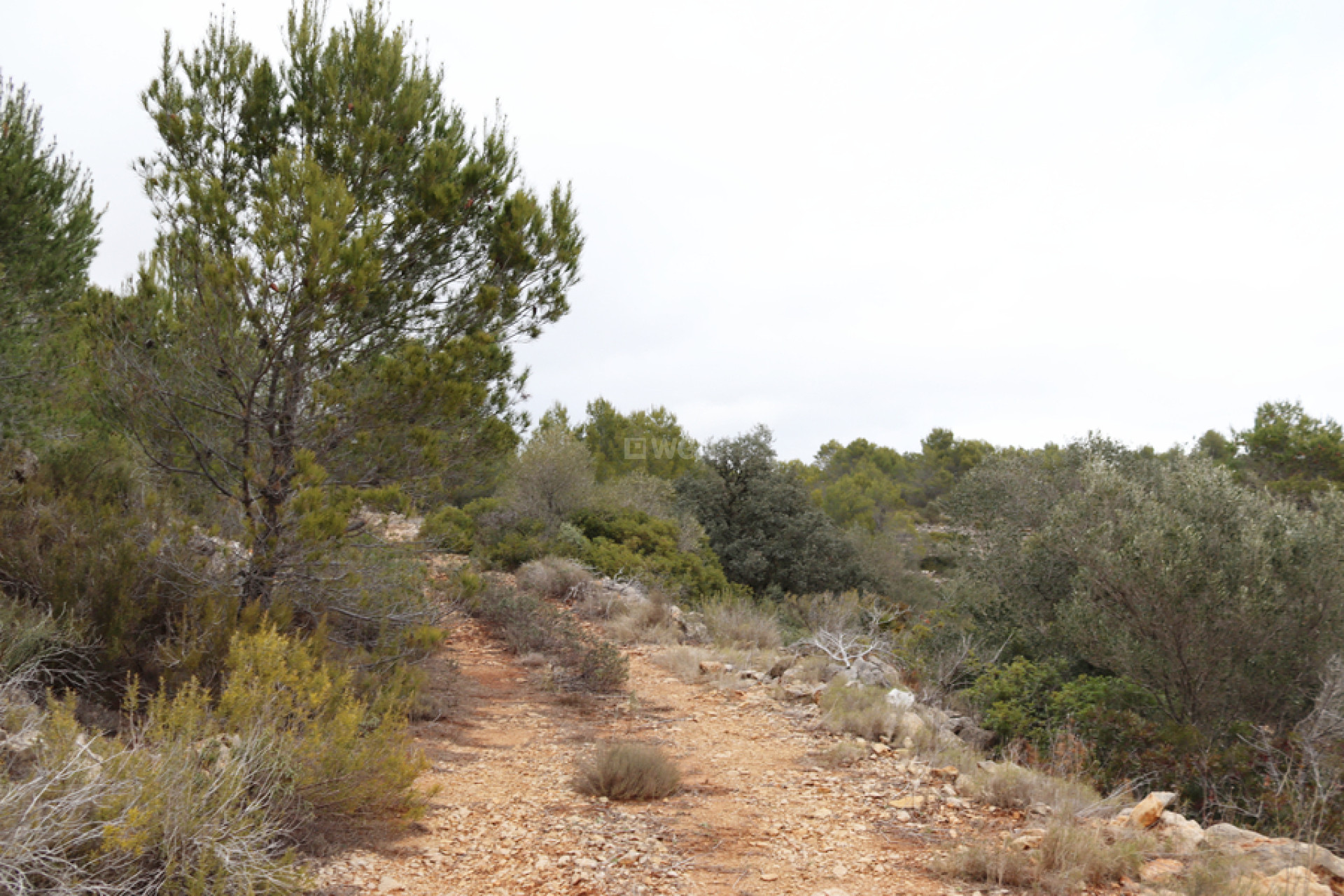 Reventa - Parcela / Terreno - Jalón - Inland