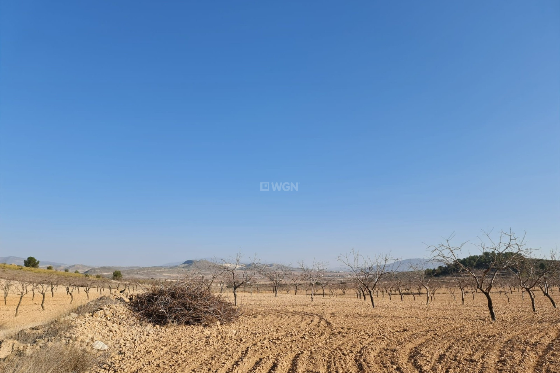 Reventa - Parcela / Terreno - Jumilla - Inland