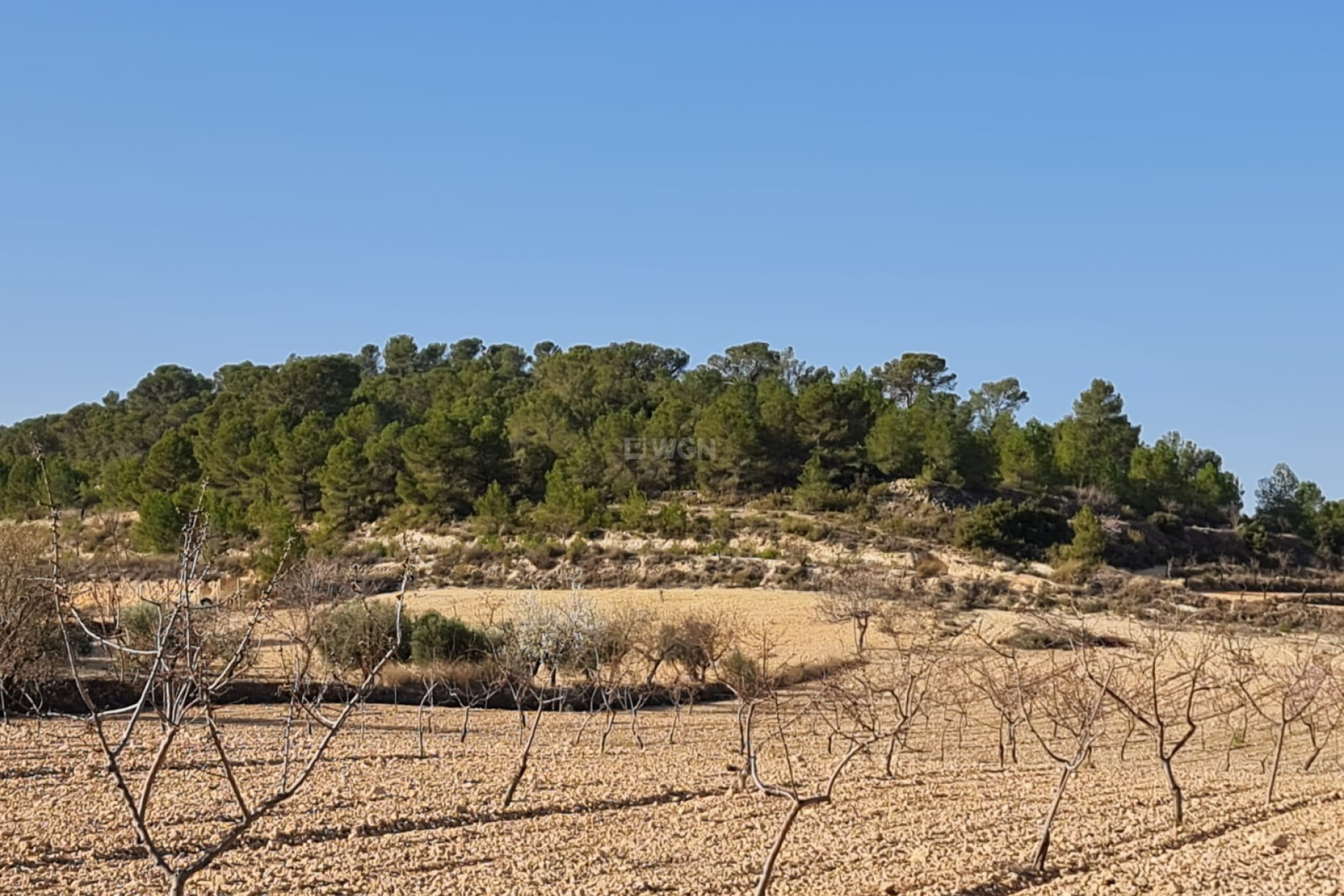 Reventa - Parcela / Terreno - Jumilla - Inland