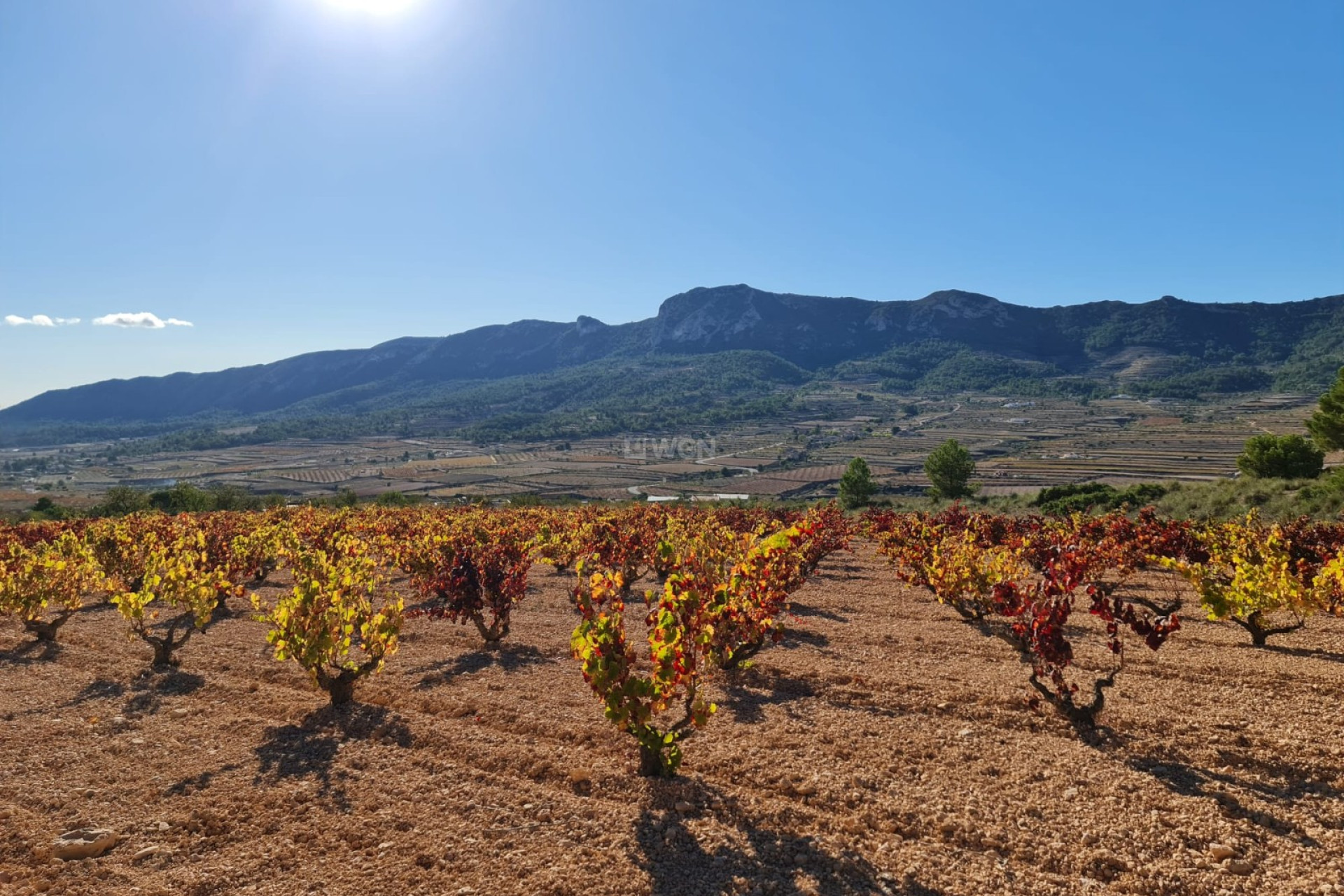 Reventa - Parcela / Terreno - La Romana - Inland