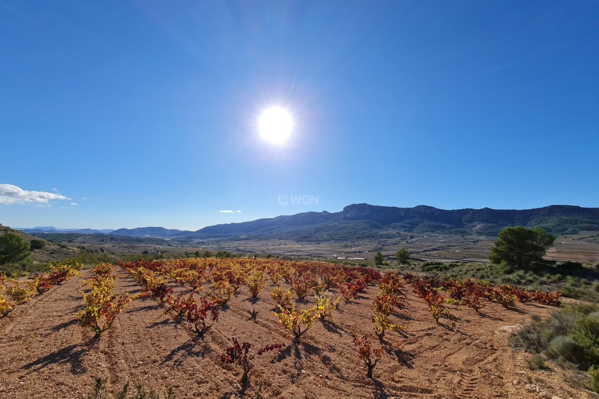 Reventa - Parcela / Terreno - La Romana - Inland