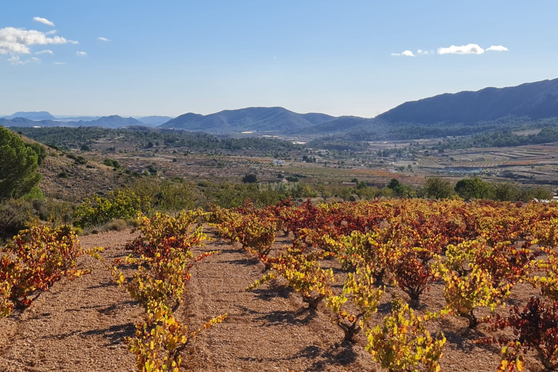 Reventa - Parcela / Terreno - La Romana - Inland