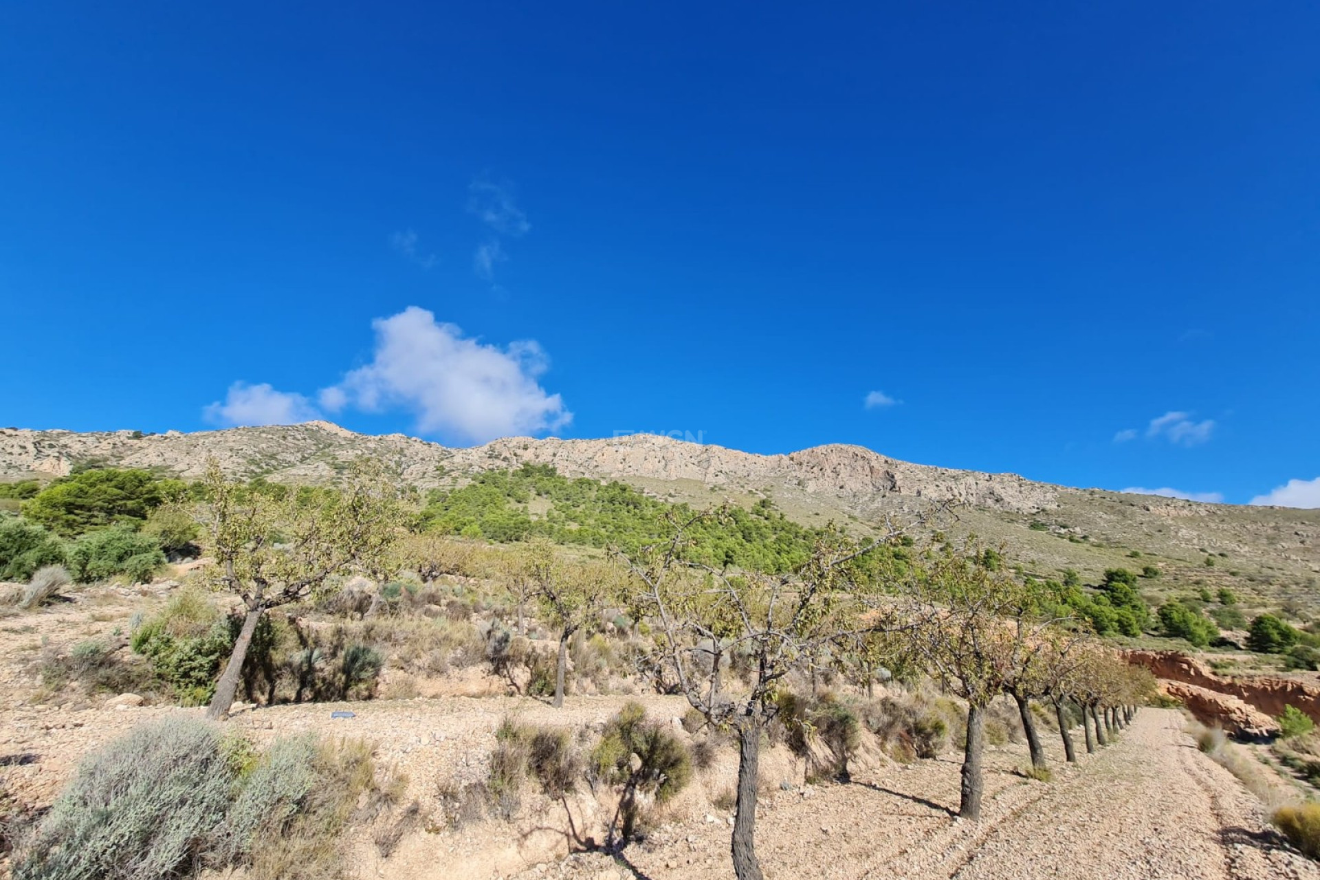 Reventa - Parcela / Terreno - La Romana - Inland