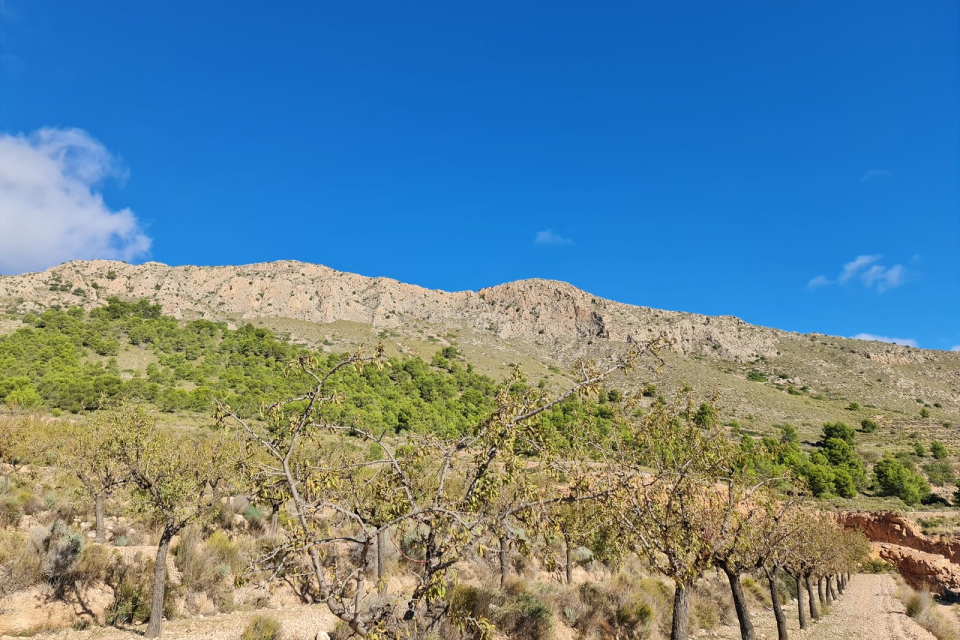 Reventa - Parcela / Terreno - La Romana - Inland