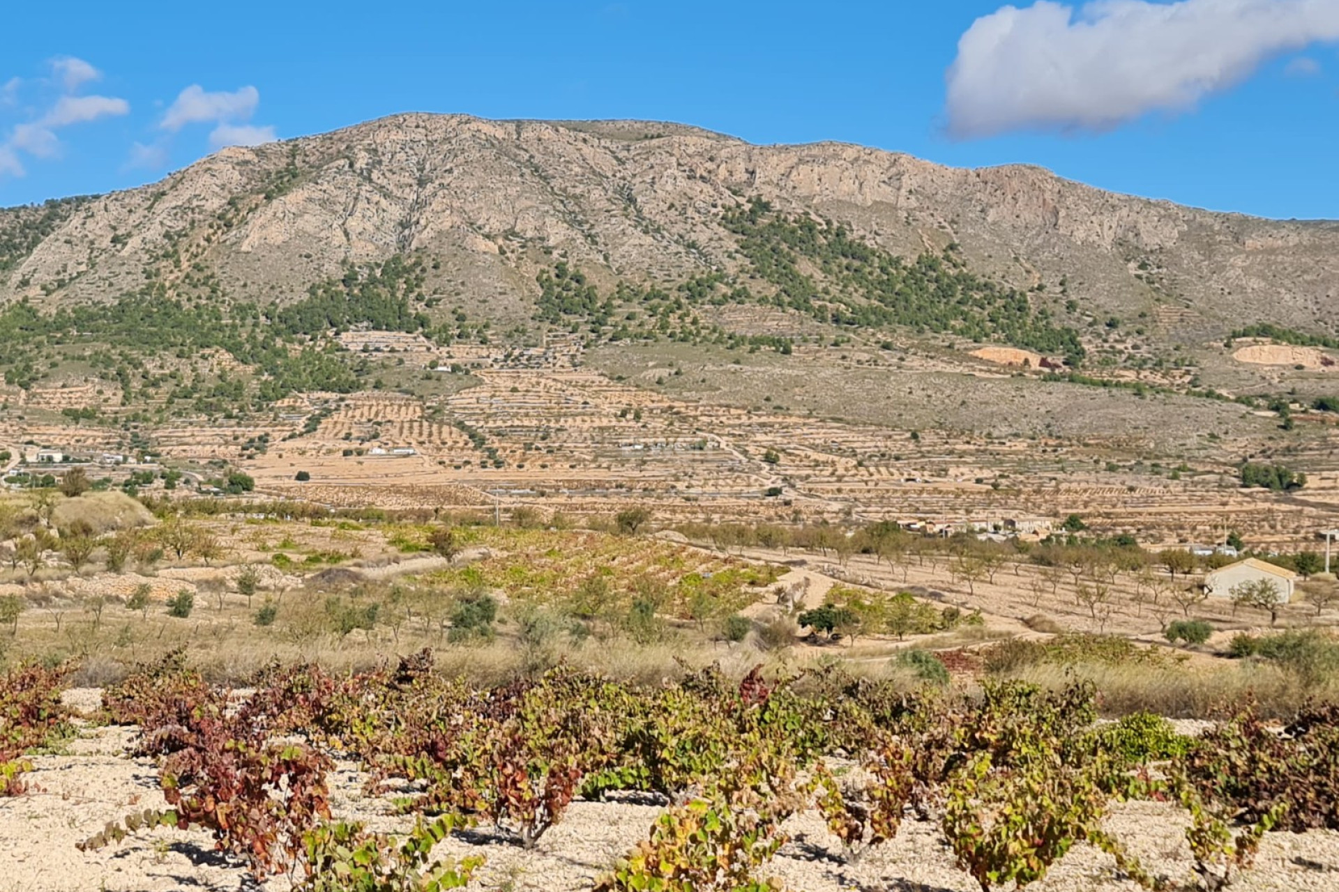 Reventa - Parcela / Terreno - La Romana - Inland