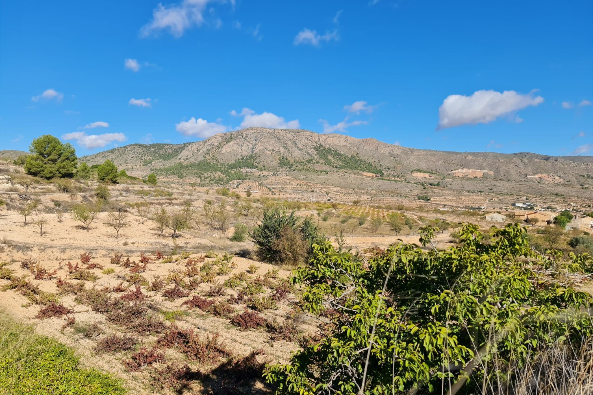 Reventa - Parcela / Terreno - La Romana - Inland