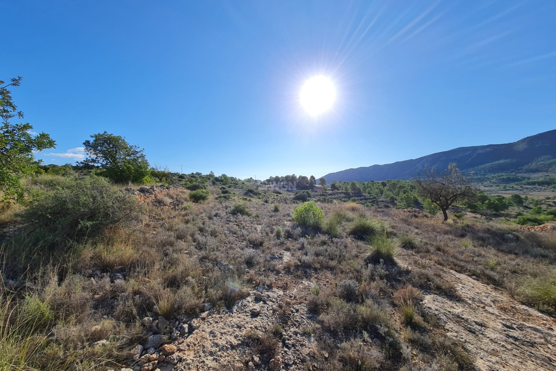 Reventa - Parcela / Terreno - La Romana - Inland