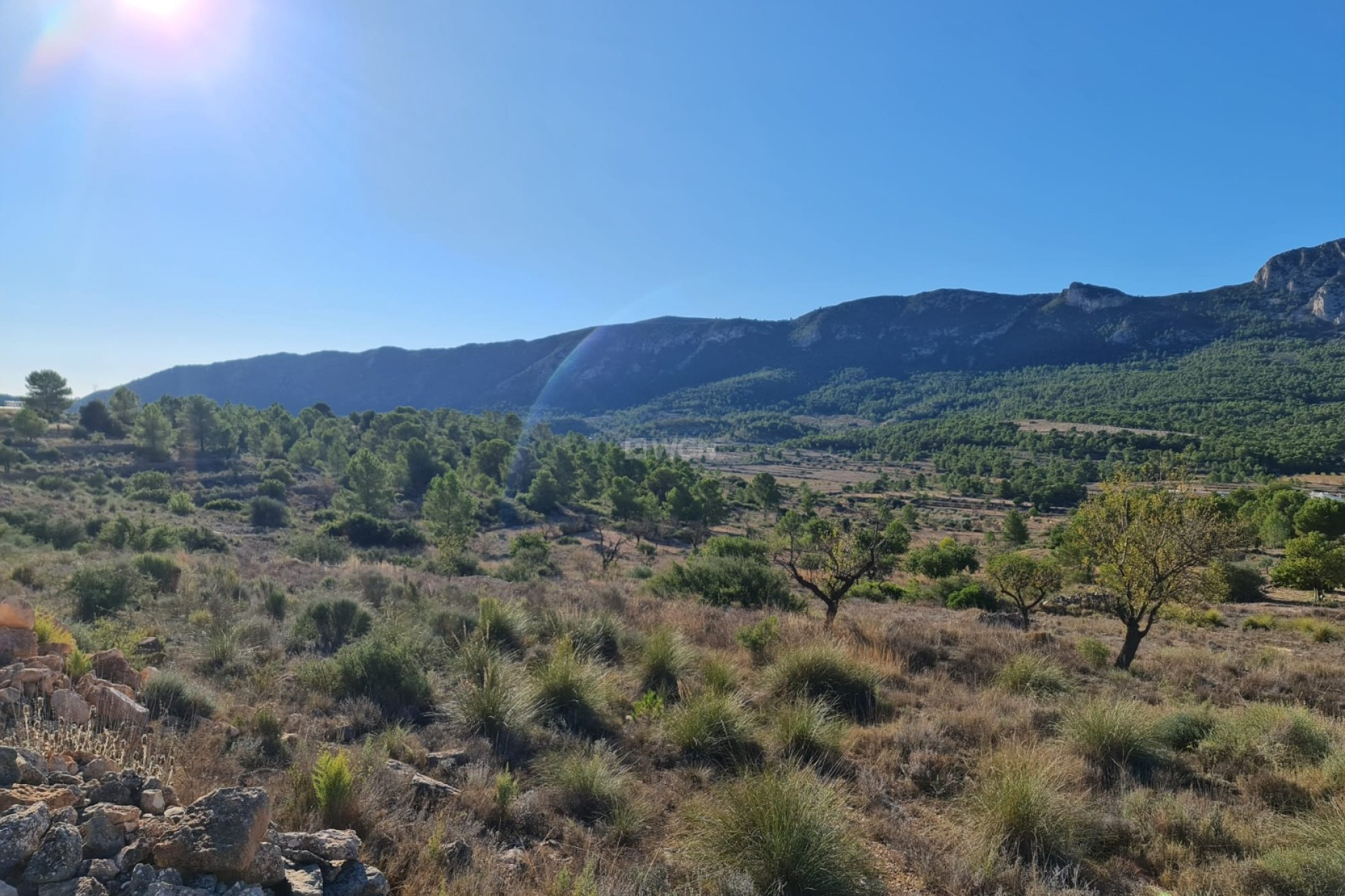 Reventa - Parcela / Terreno - La Romana - Inland