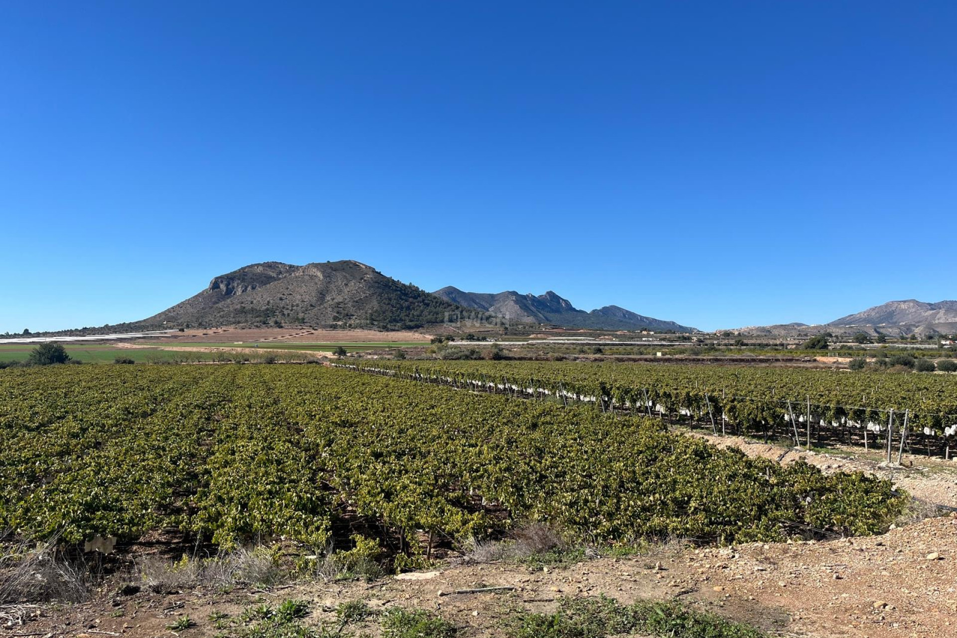 Reventa - Parcela / Terreno - La Romana - Inland