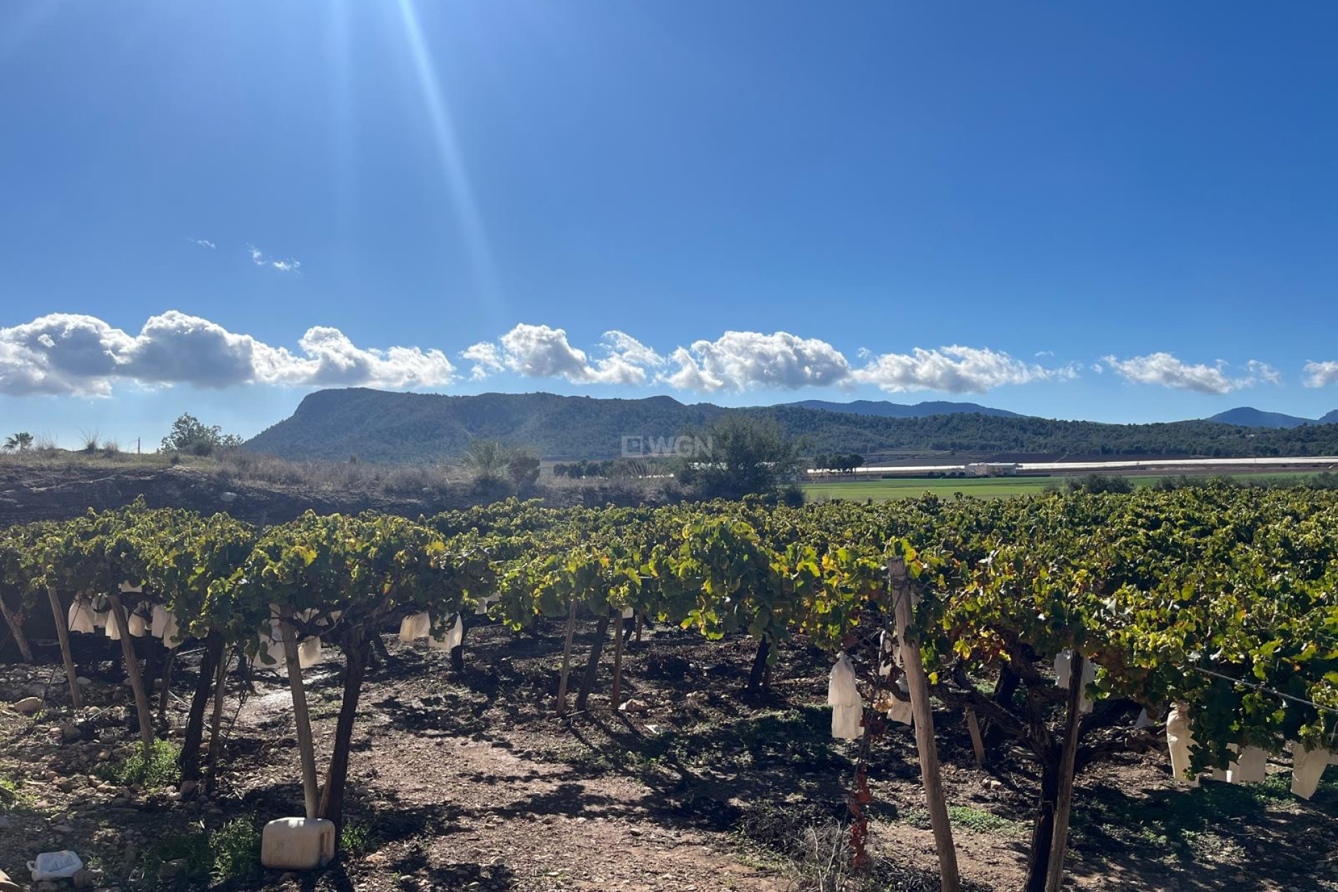 Reventa - Parcela / Terreno - La Romana - Inland