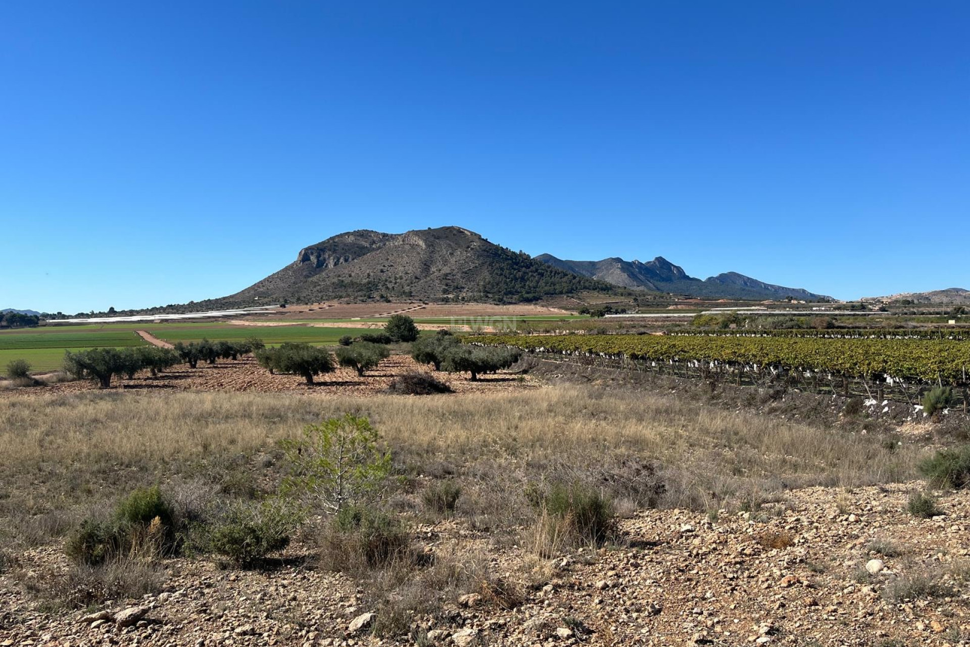 Reventa - Parcela / Terreno - La Romana - Inland