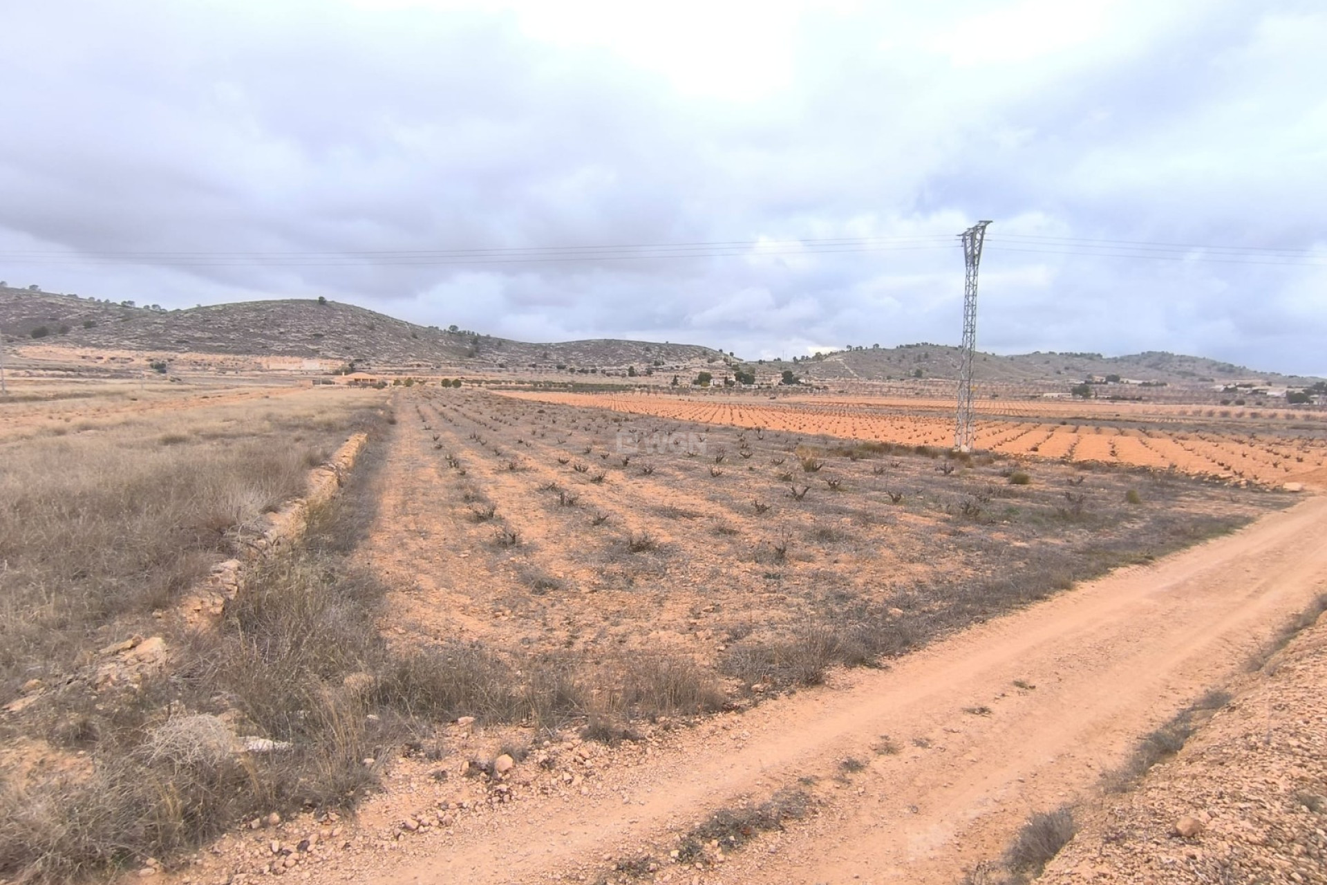 Reventa - Parcela / Terreno - La Solana
