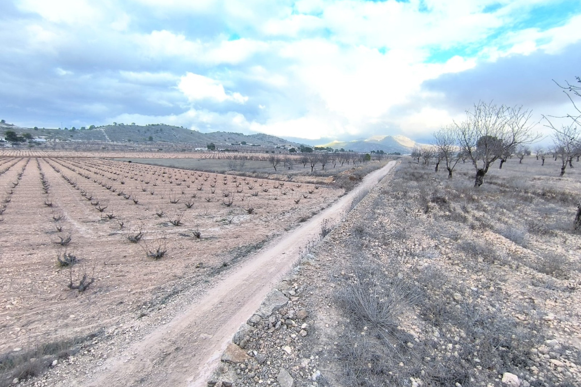 Reventa - Parcela / Terreno - La Solana