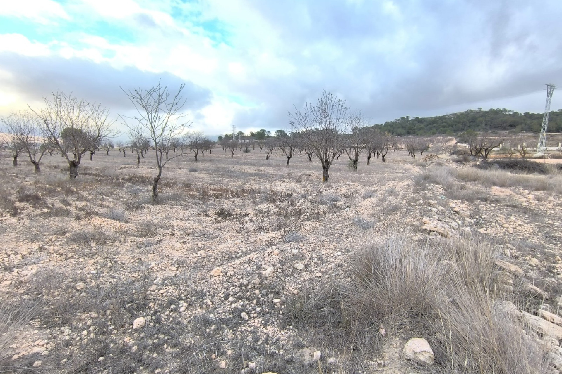 Reventa - Parcela / Terreno - La Solana