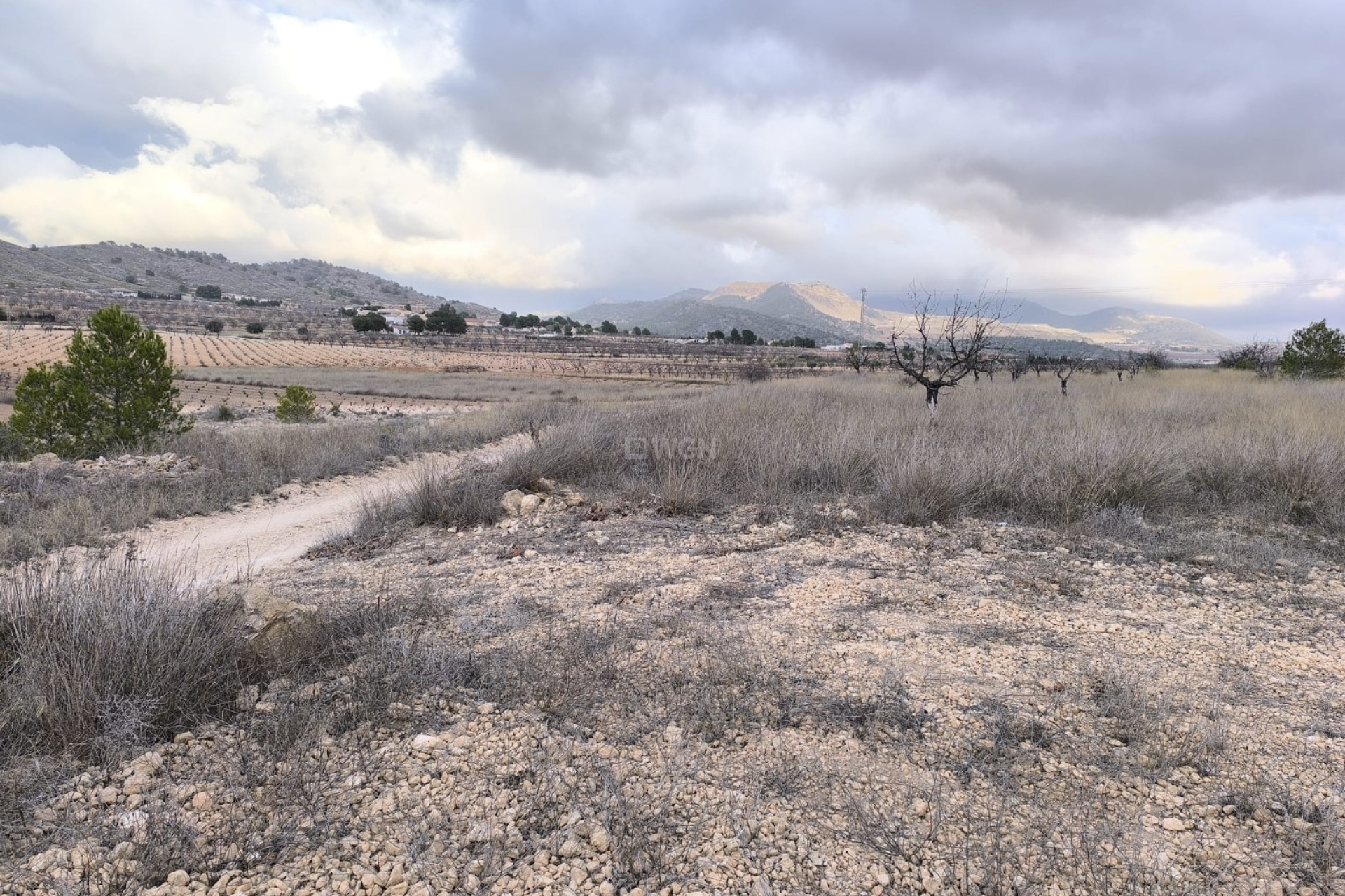 Reventa - Parcela / Terreno - La Solana