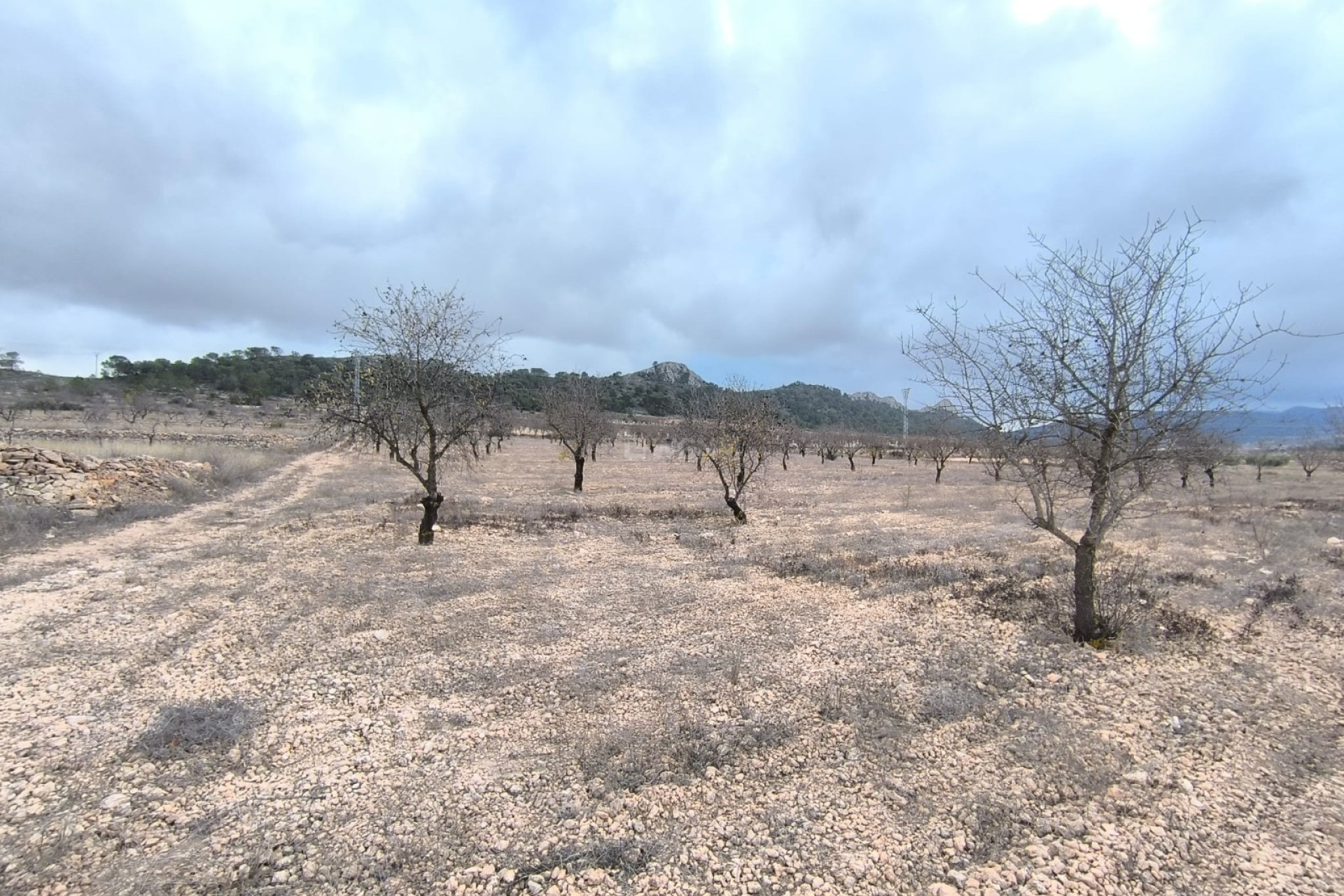 Reventa - Parcela / Terreno - La Solana