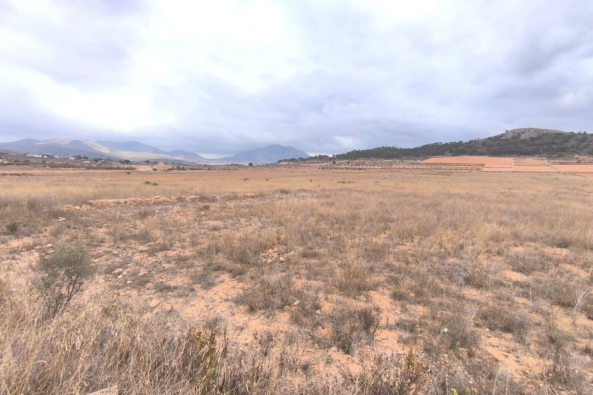 Reventa - Parcela / Terreno - La Solana