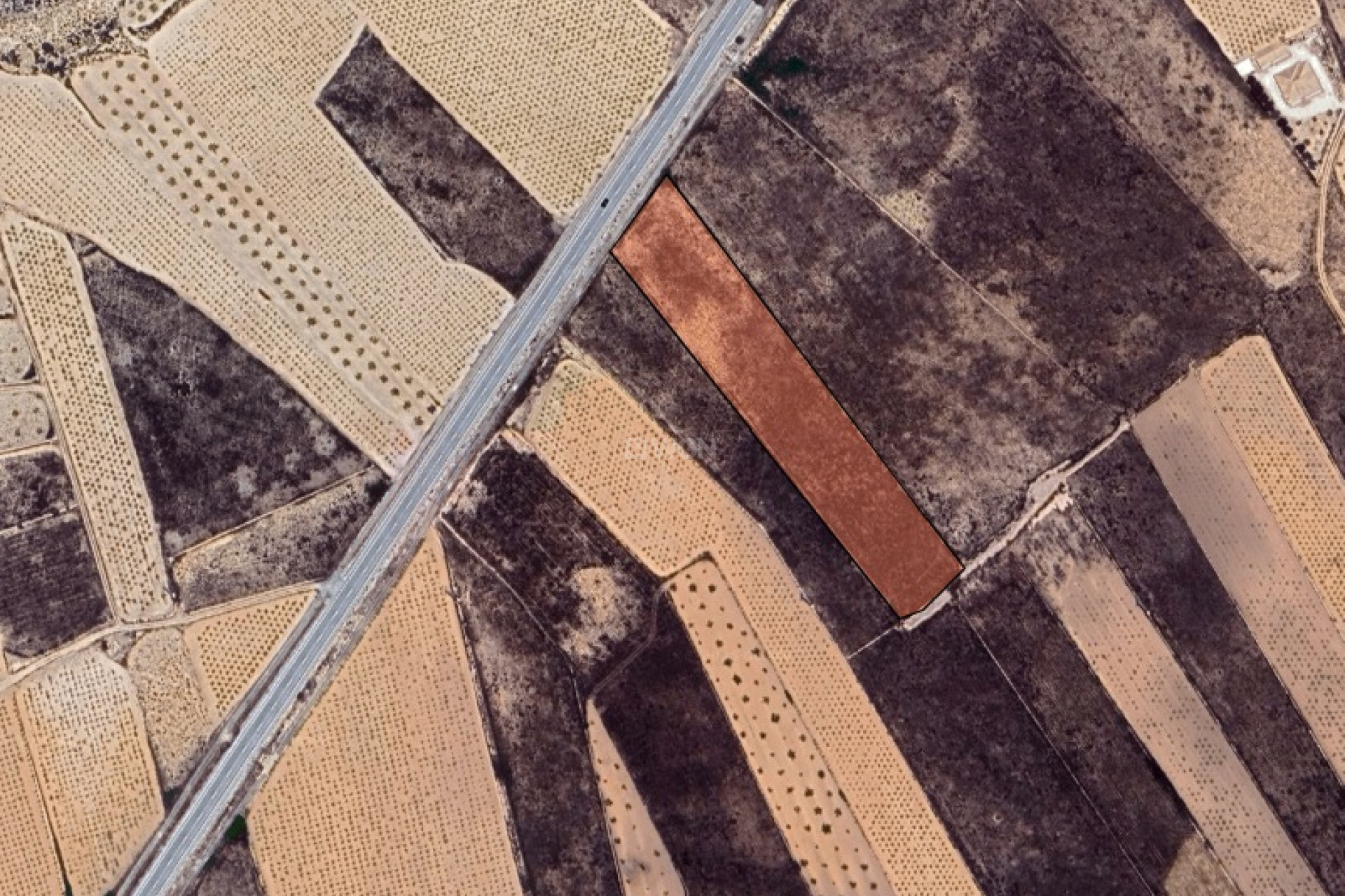 Reventa - Parcela / Terreno - La Solana