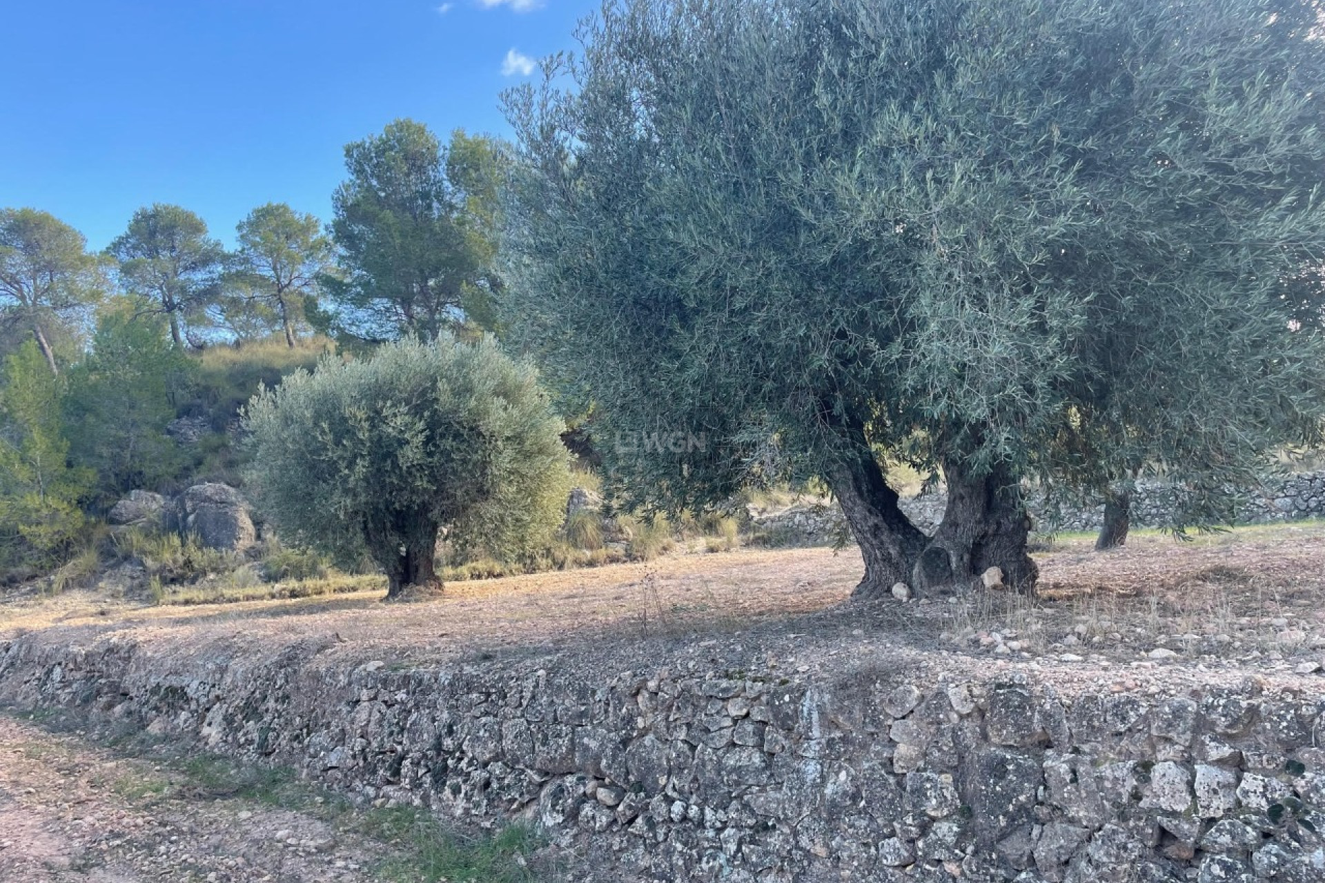 Reventa - Parcela / Terreno - La Zarza - Inland