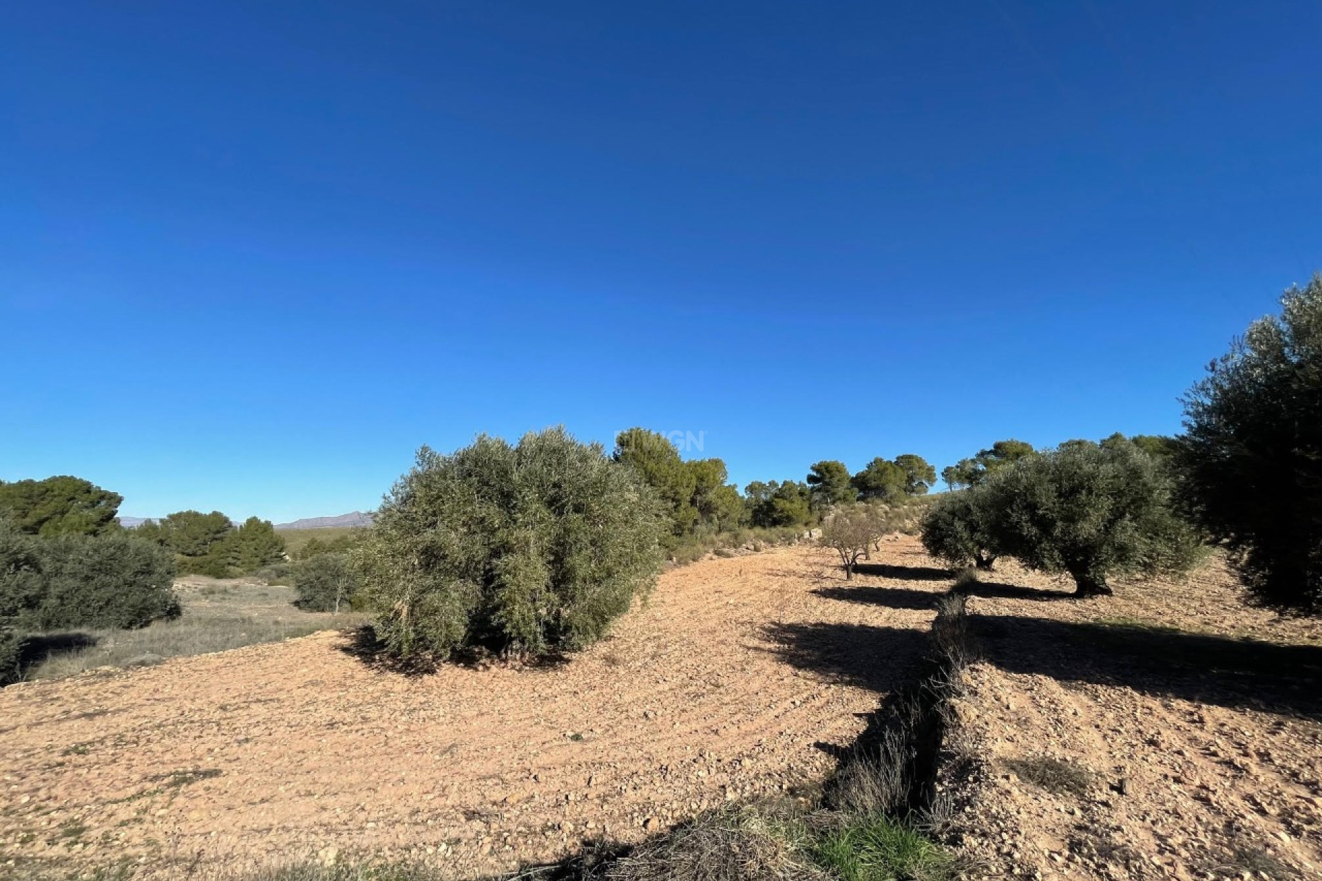 Reventa - Parcela / Terreno - La Zarza - Inland
