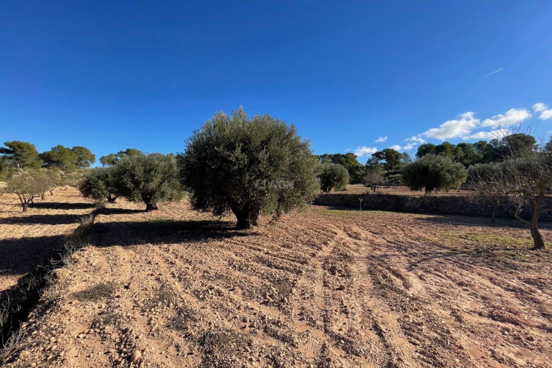 Reventa - Parcela / Terreno - La Zarza - Inland