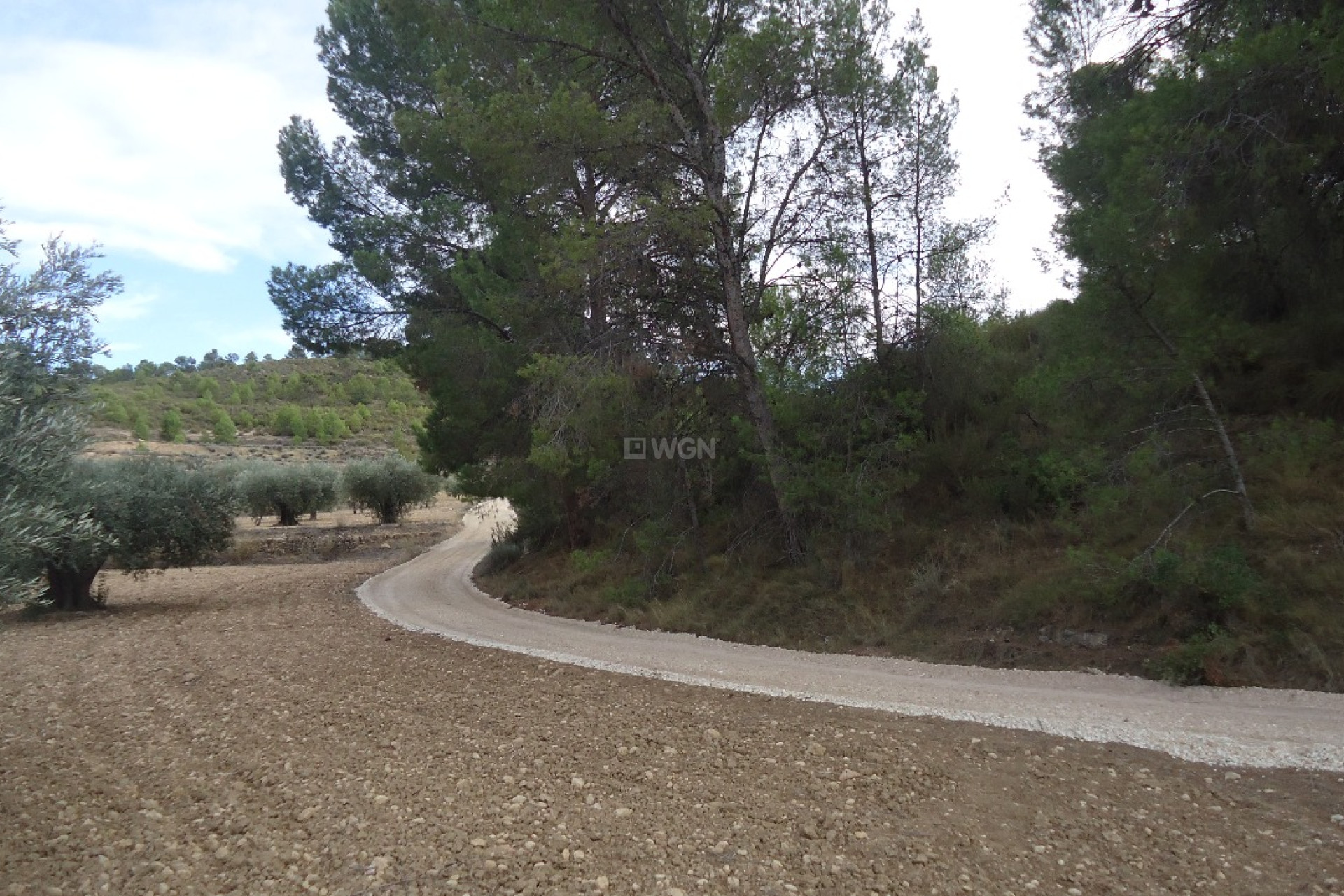 Reventa - Parcela / Terreno - La Zarza - Inland