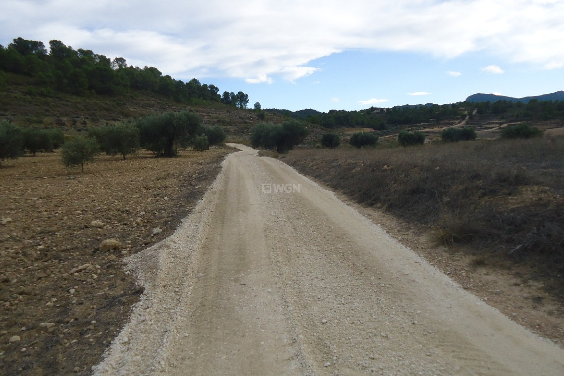 Reventa - Parcela / Terreno - La Zarza - Inland