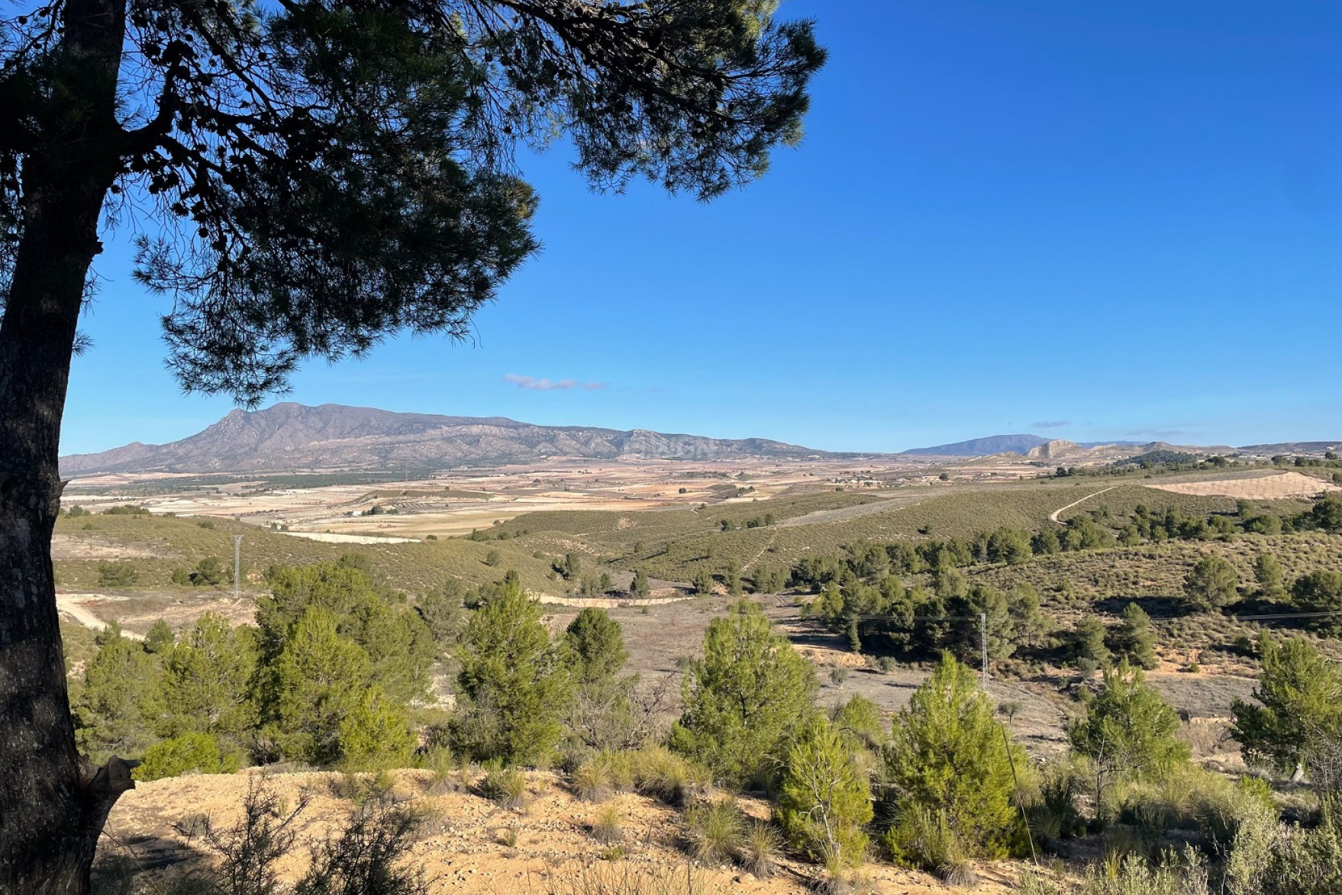 Reventa - Parcela / Terreno - La Zarza - Inland