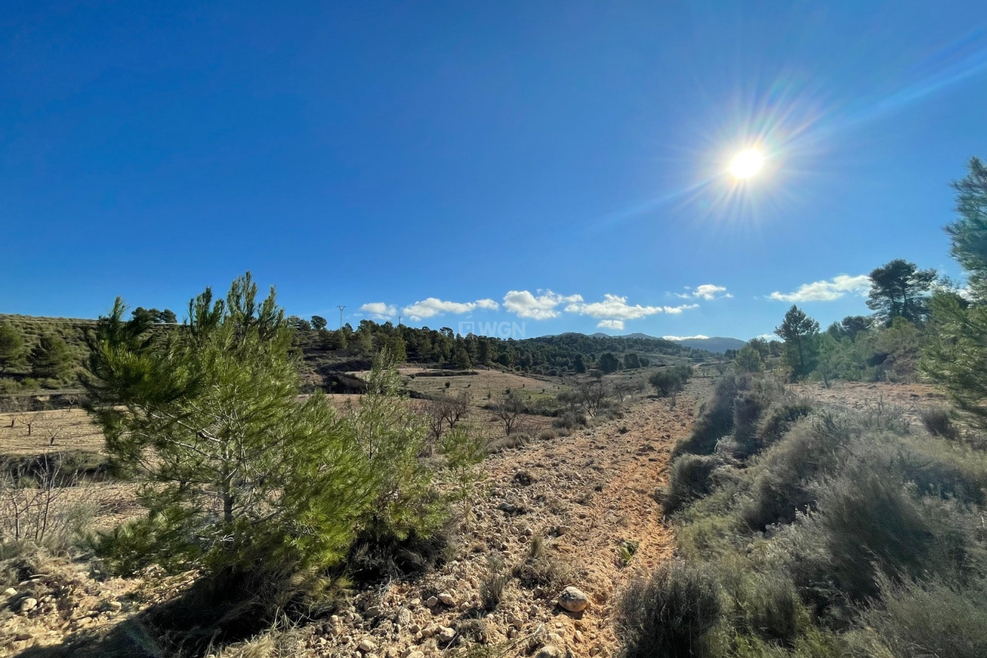 Reventa - Parcela / Terreno - La Zarza - Inland