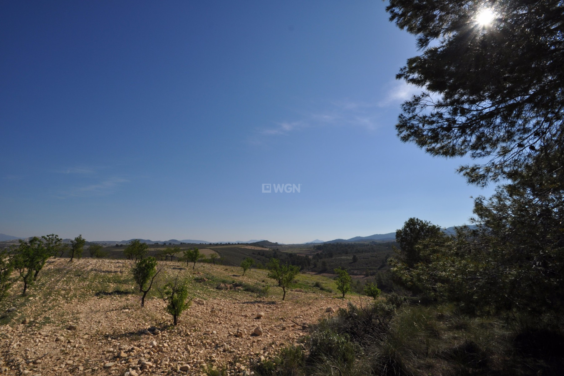 Reventa - Parcela / Terreno - La Zarza - Inland