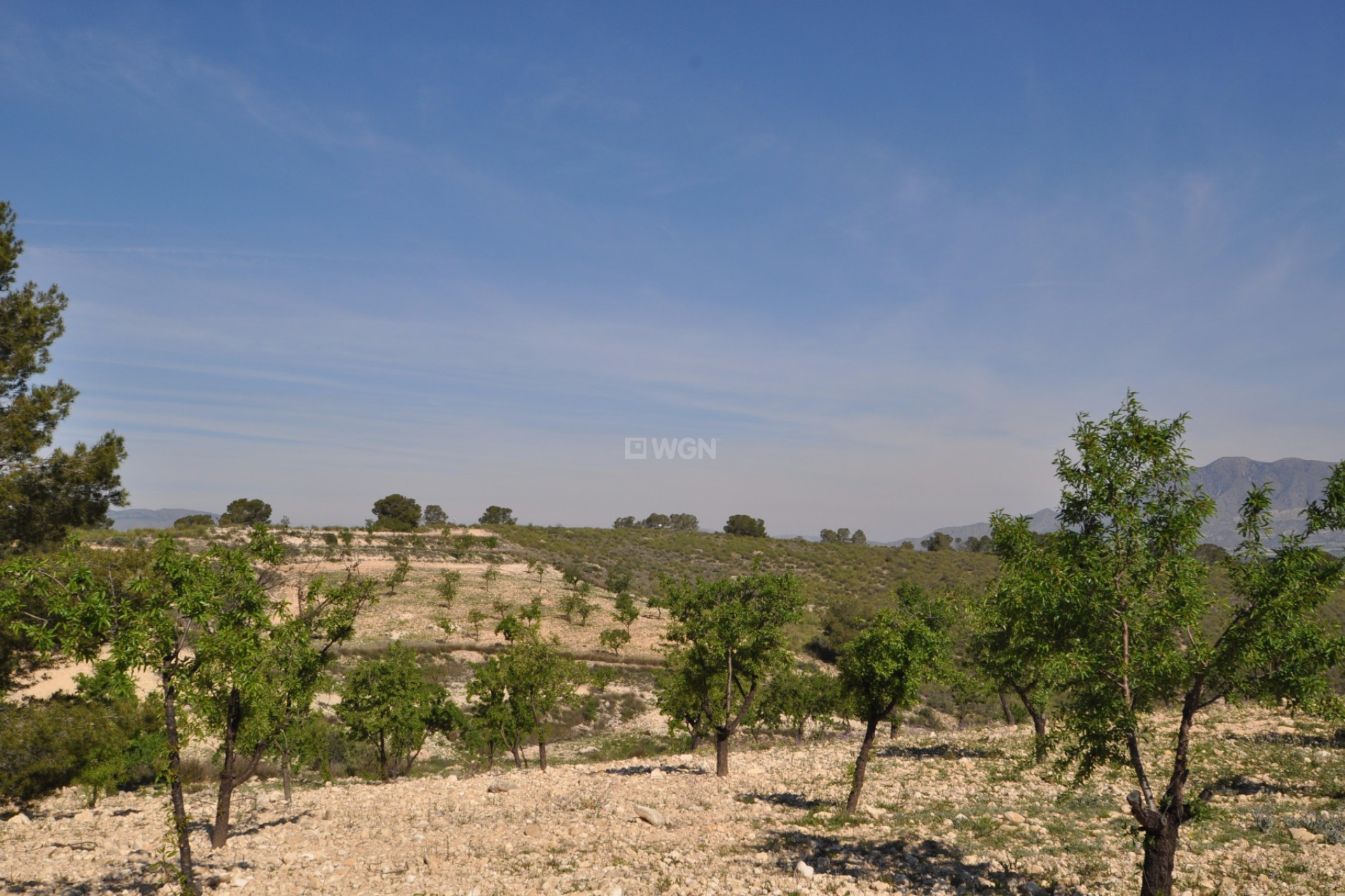 Reventa - Parcela / Terreno - La Zarza - Inland